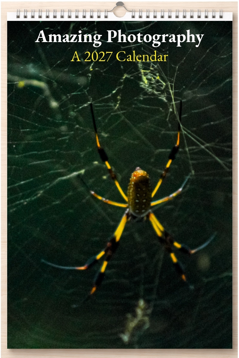 Amazing Photography: A 2027 Calendar