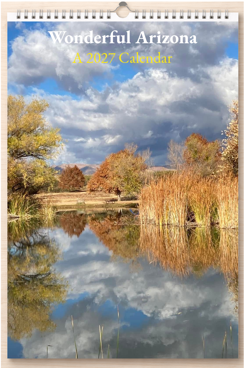 Wonderful Arizona: A 2027 Calendar