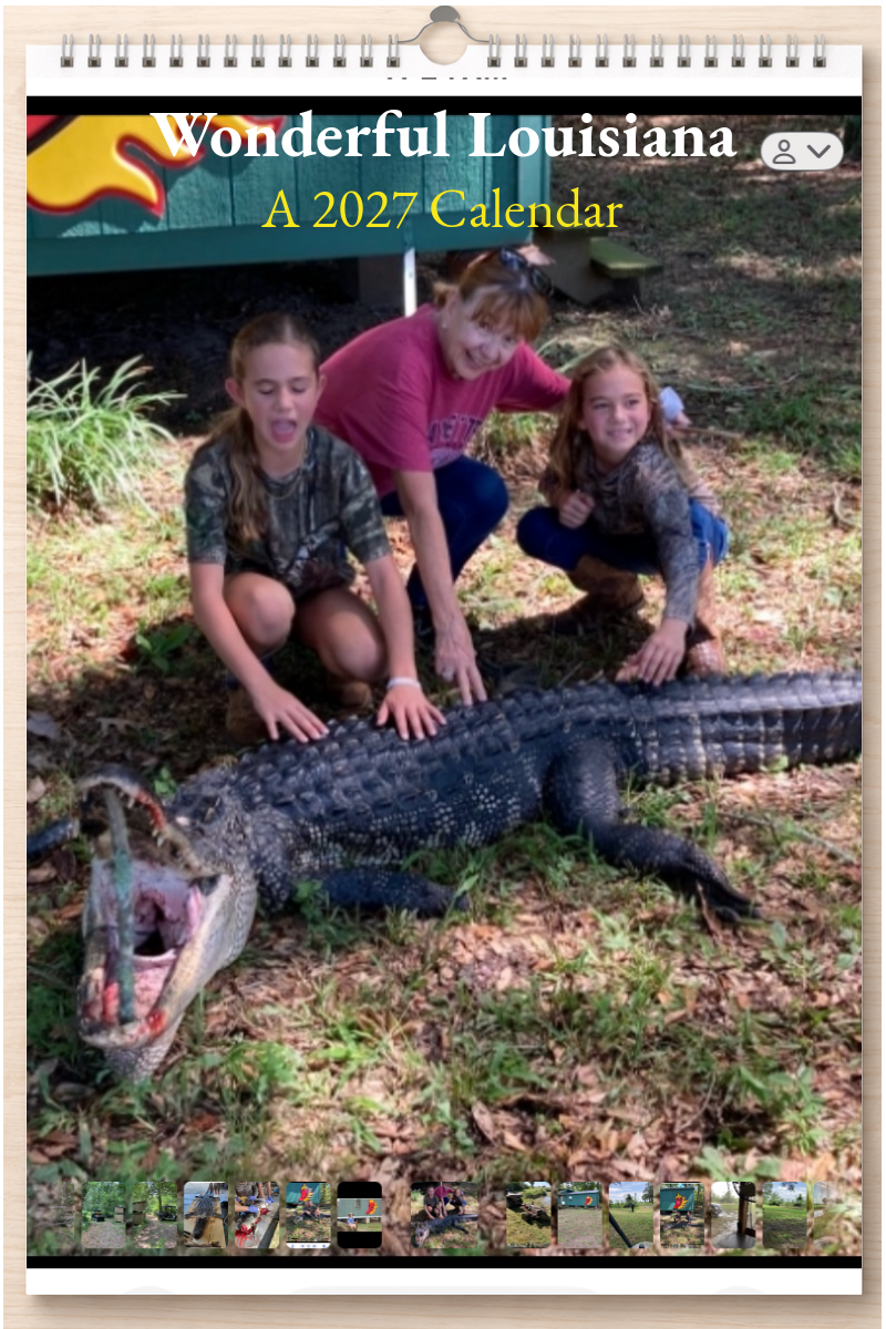 Wonderful Louisiana: A 2027 Calendar