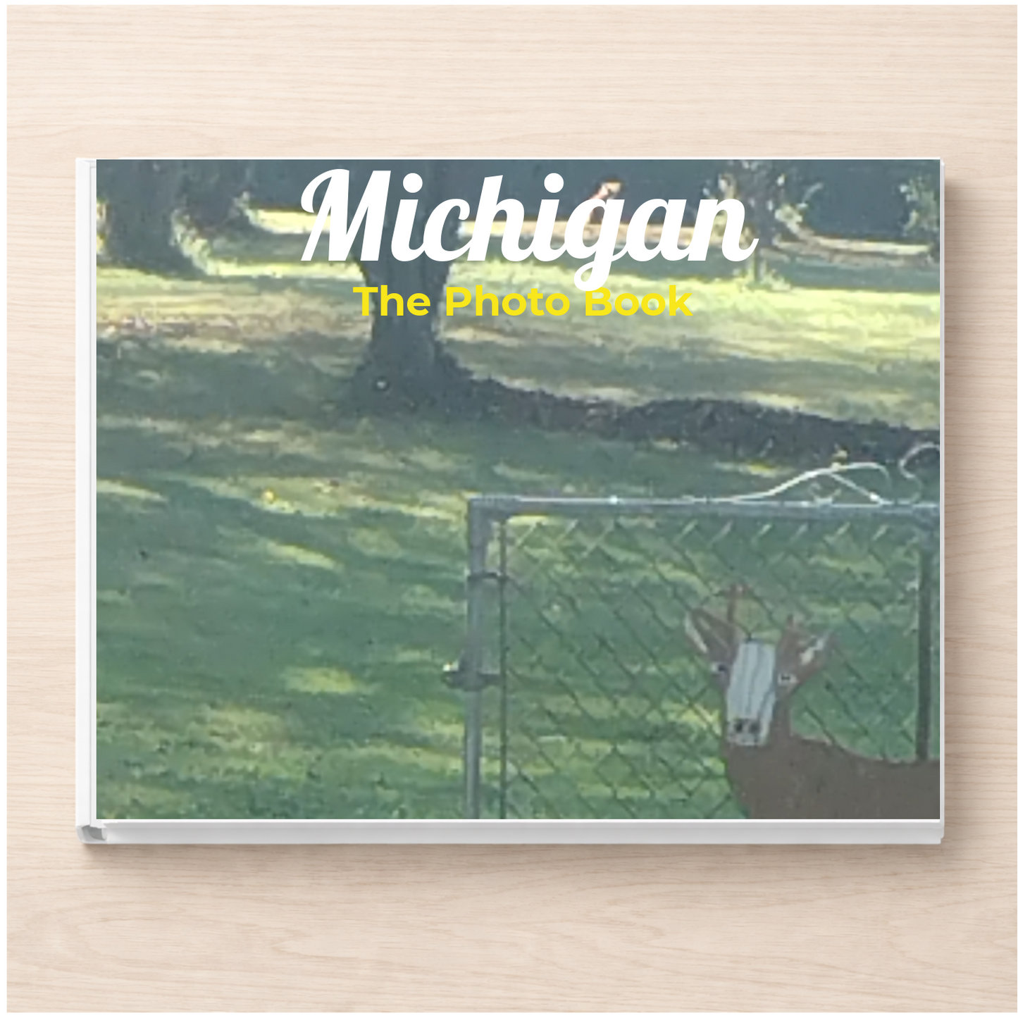 Michigan: The Photo Book