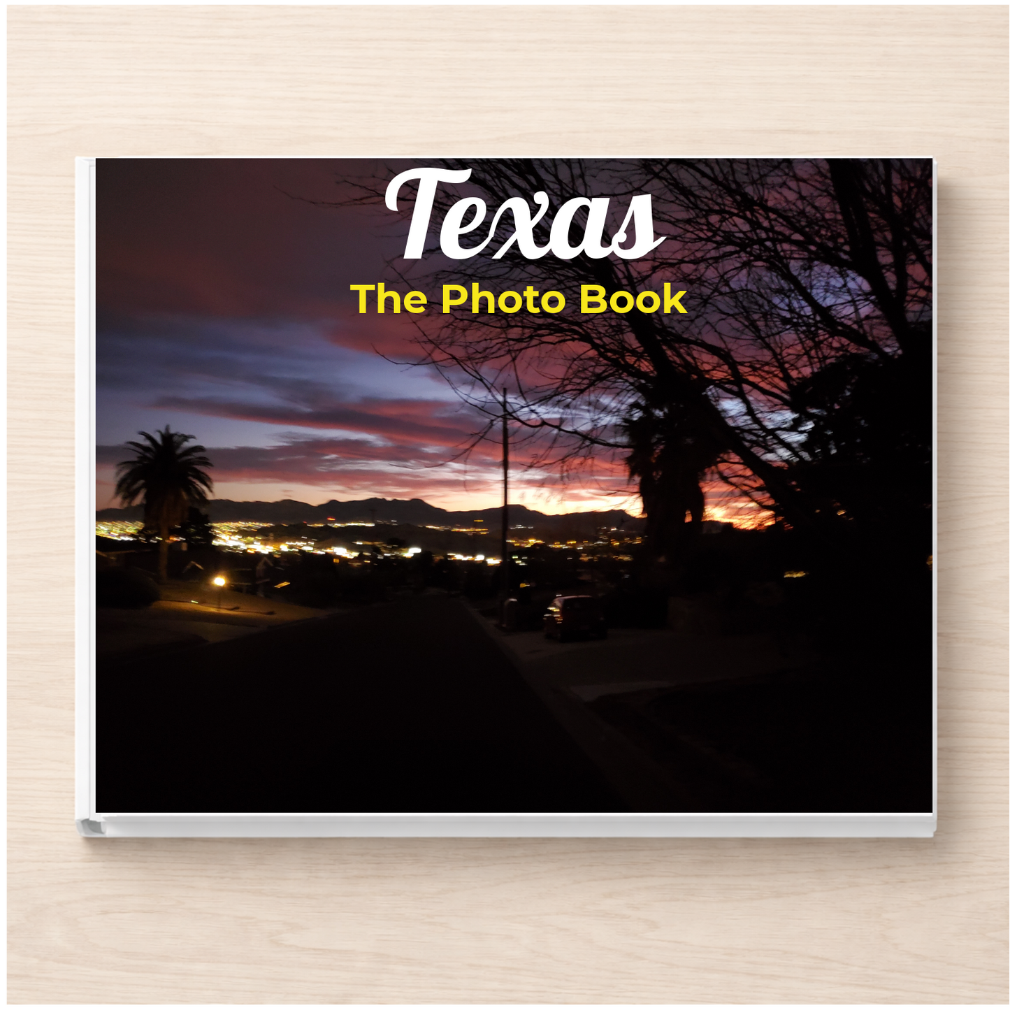 Texas: The Photo Book