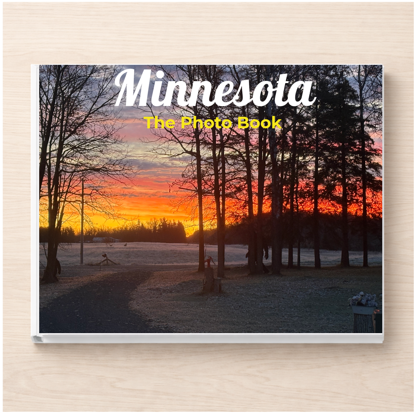 Minnesota: The Photo Book