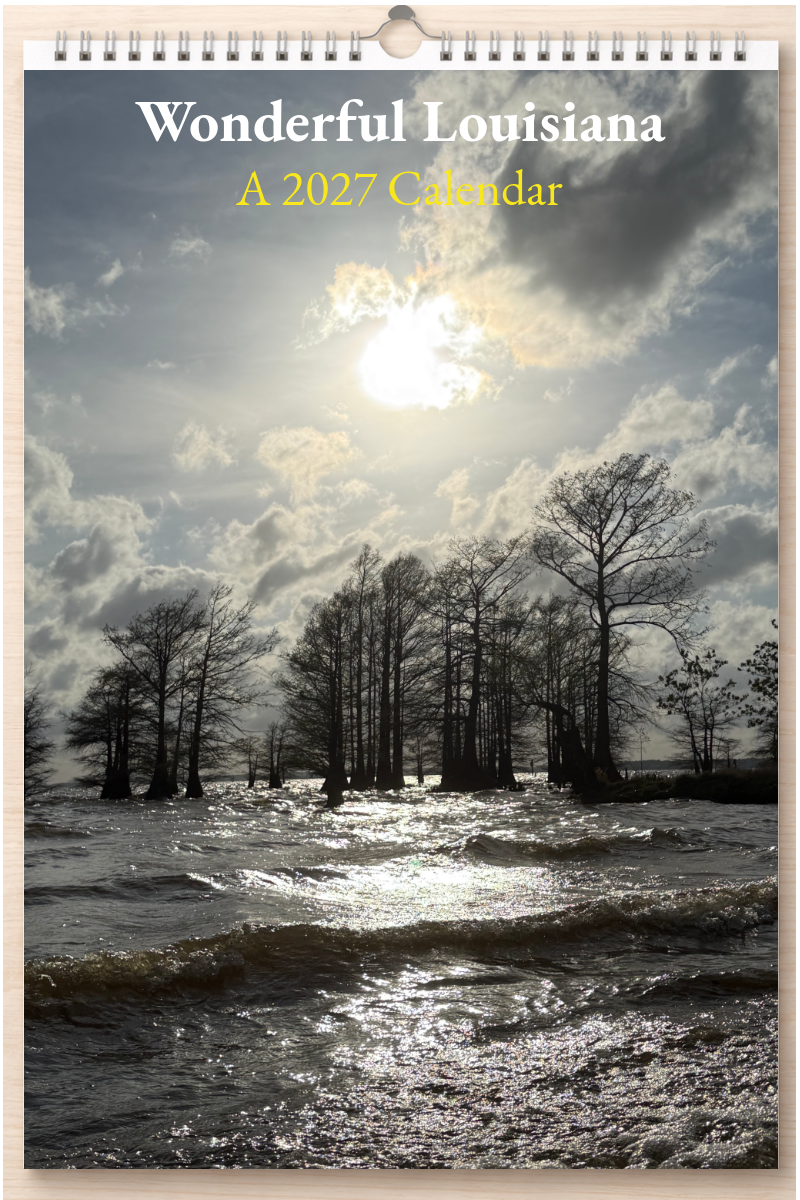 Wonderful Louisiana: A 2027 Calendar