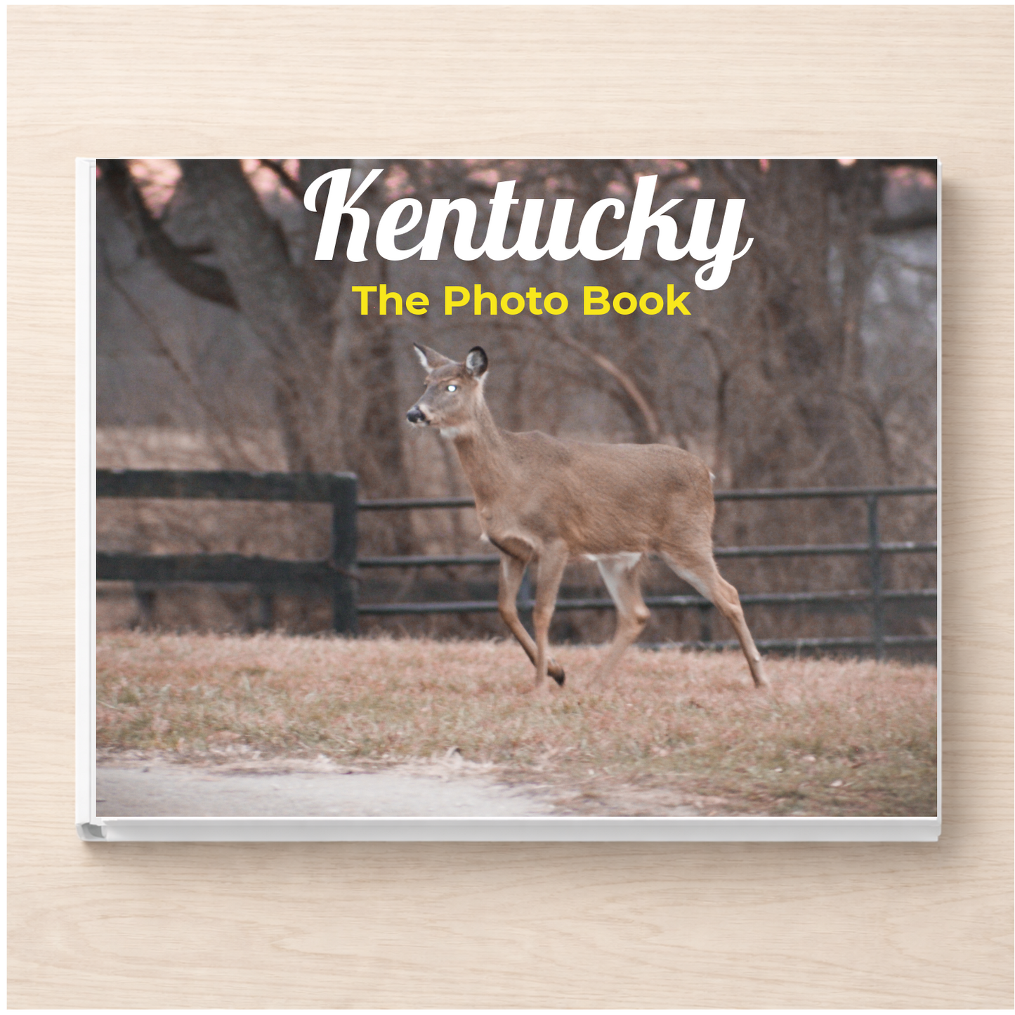 Kentucky: The Photo Book