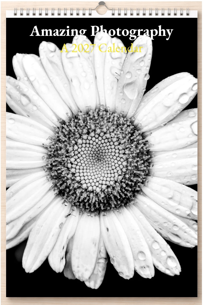 Amazing Photography: A 2027 Calendar