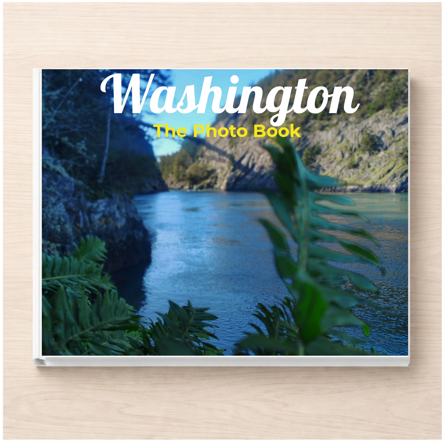 Washington: The Photo Book