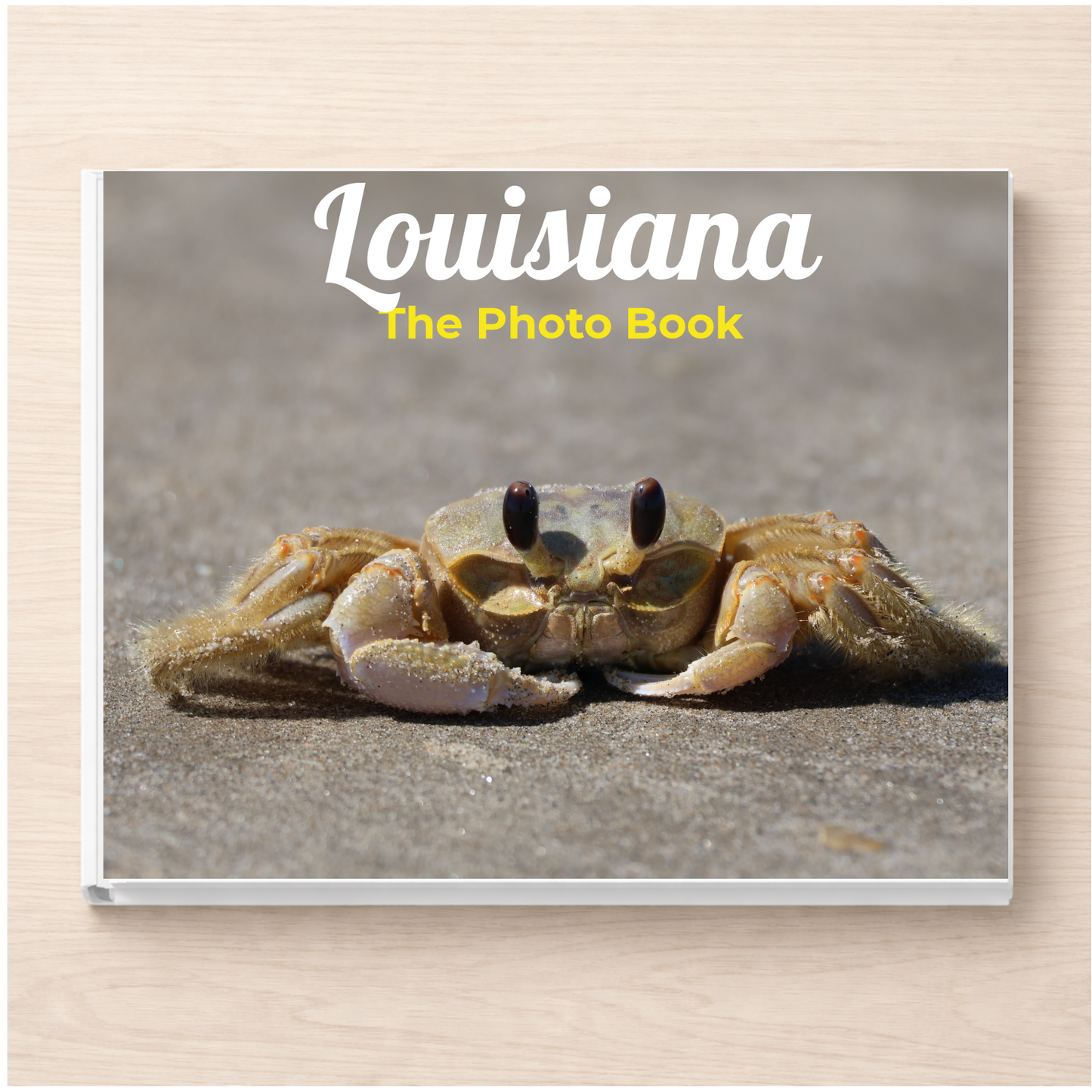 Louisiana: The Photo Book