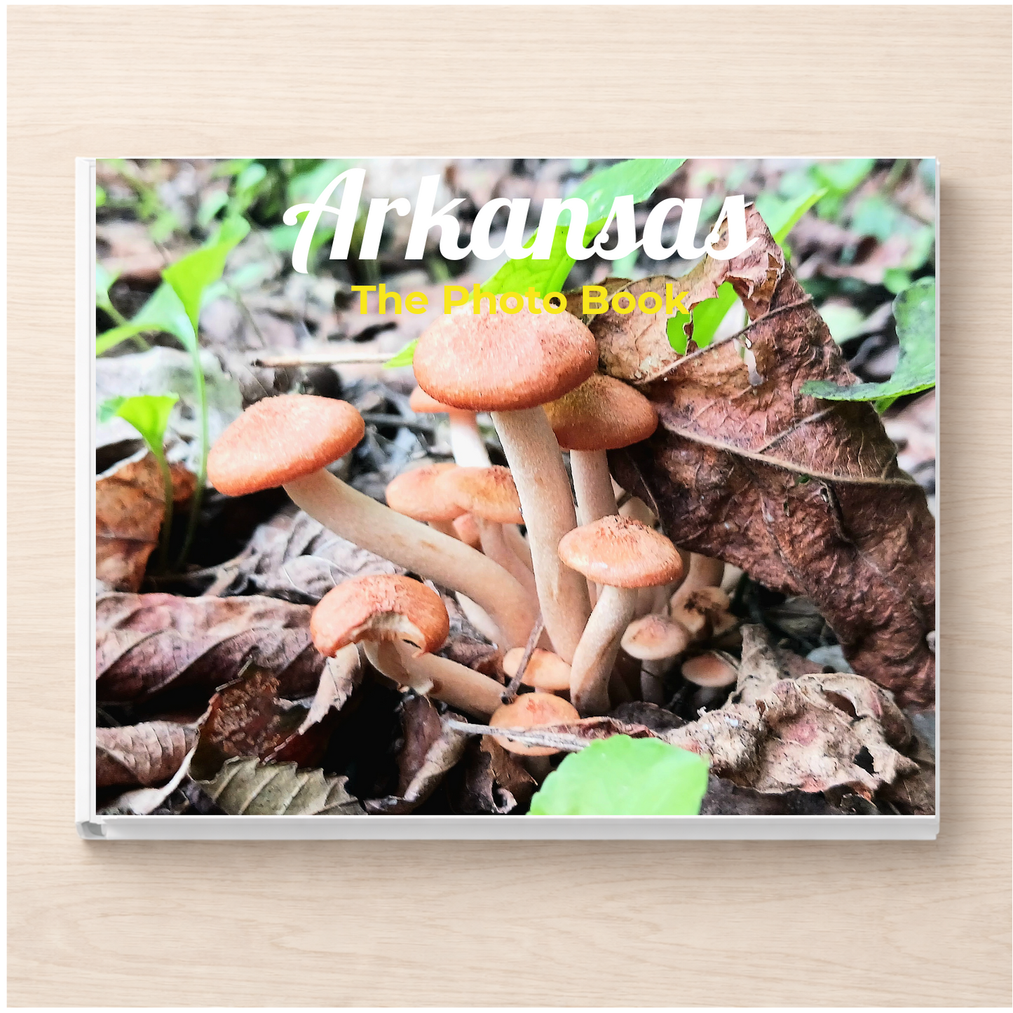 Arkansas: The Photo Book