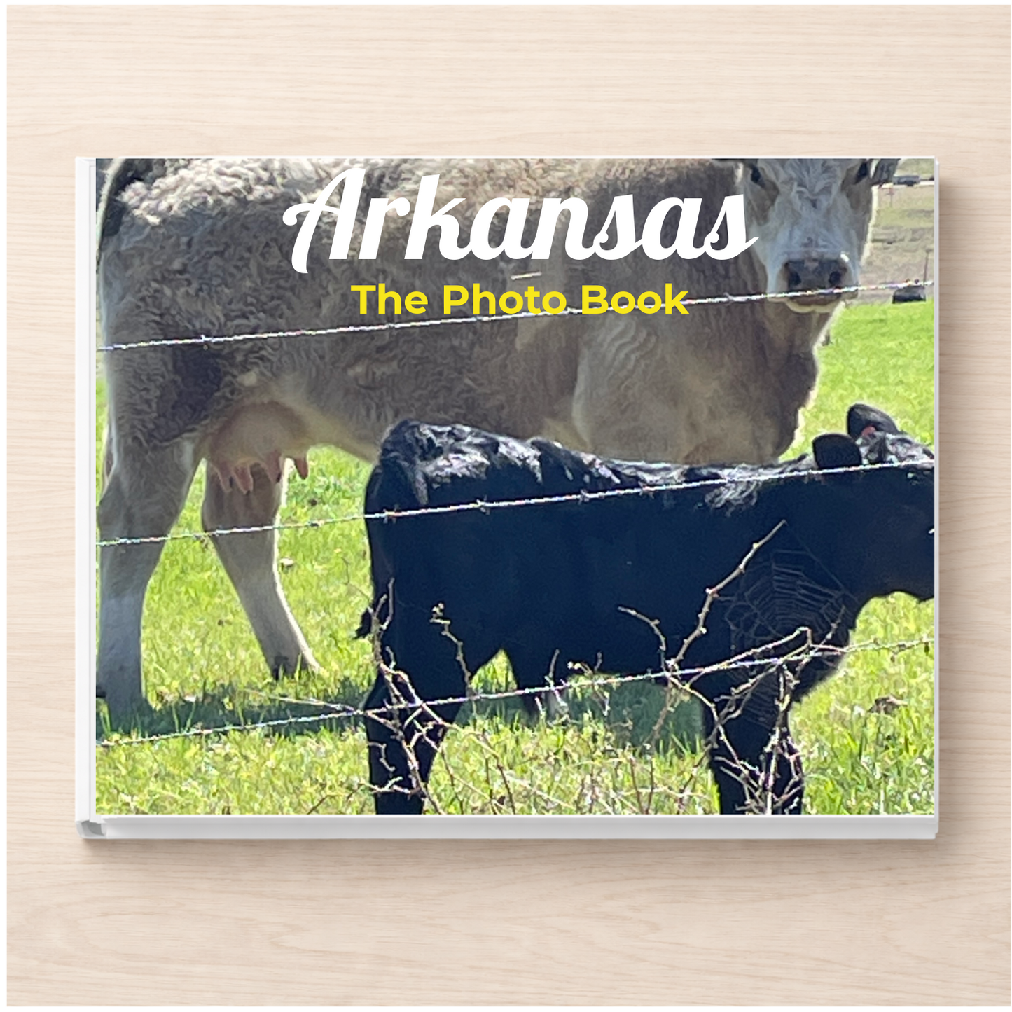 Arkansas: The Photo Book