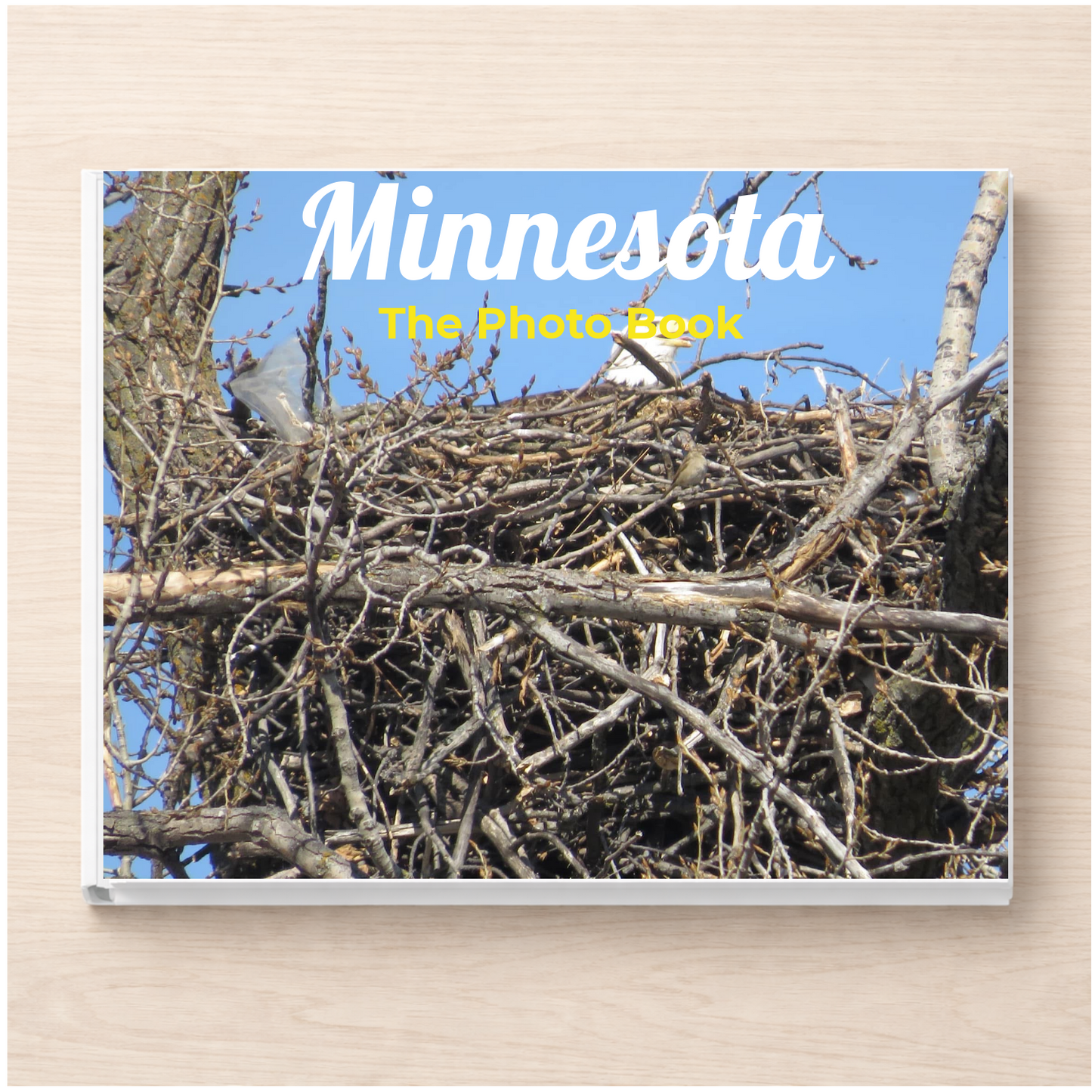 Minnesota: The Photo Book