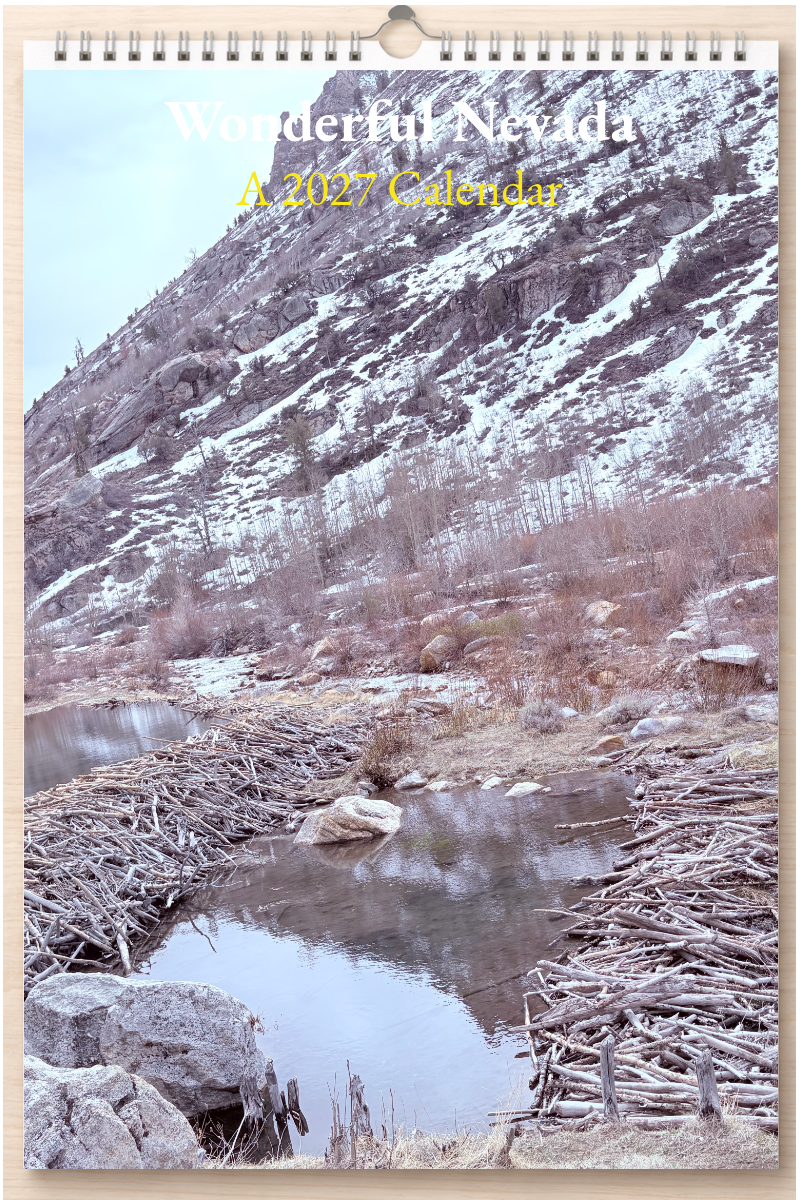 Wonderful Nevada: A 2027 Calendar