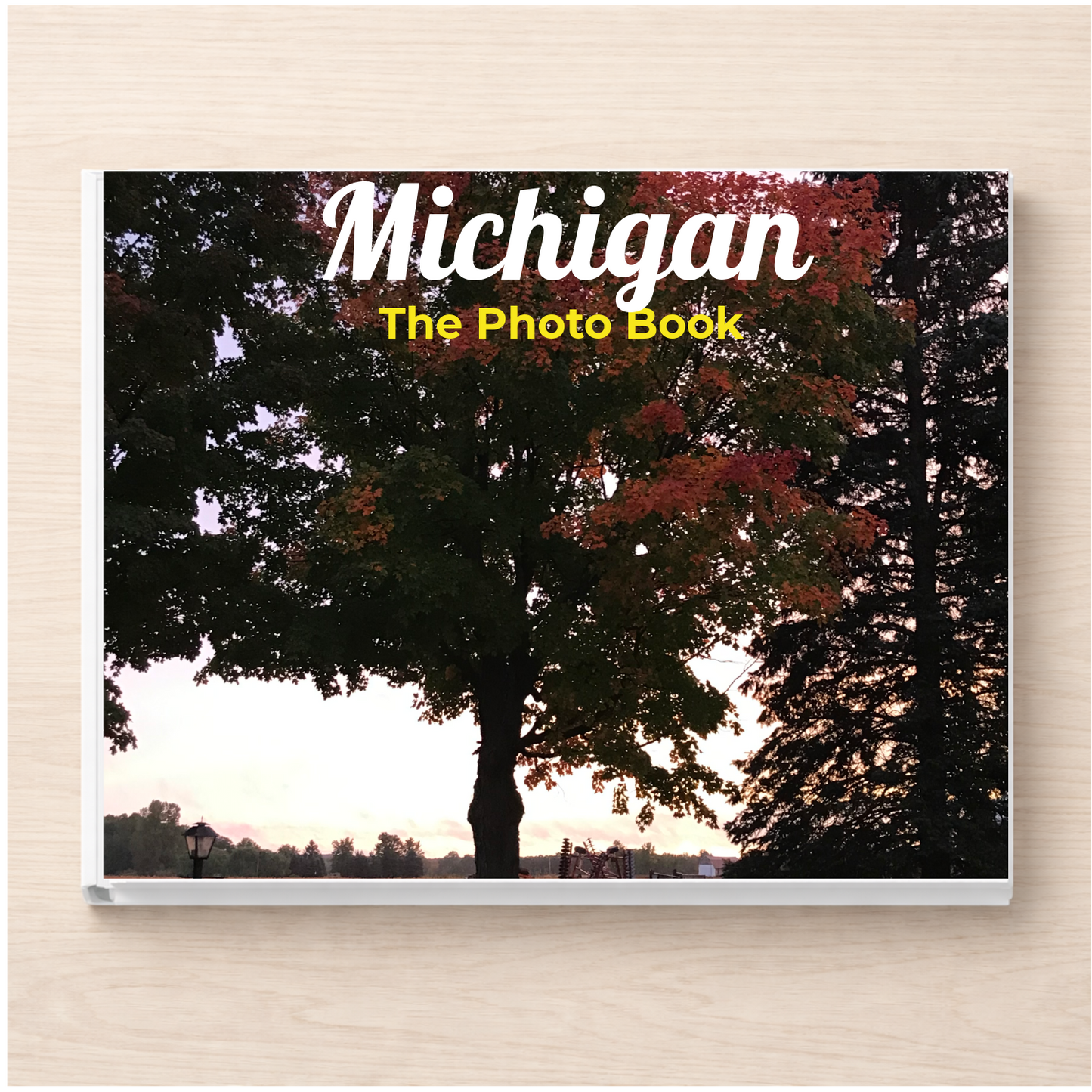 Michigan: The Photo Book