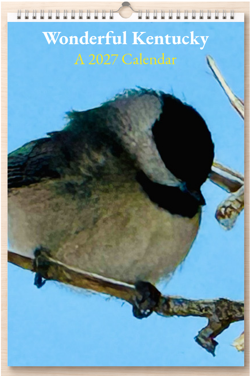 Wonderful Kentucky: A 2027 Calendar