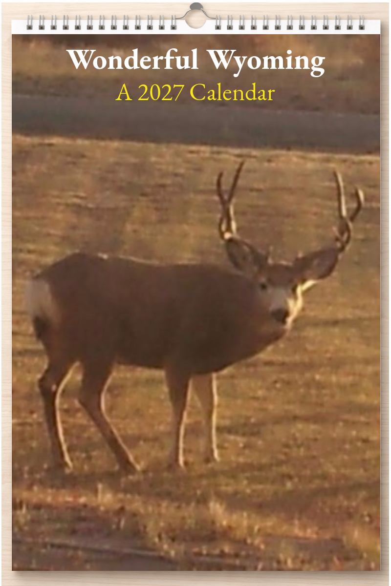 Wonderful Wyoming: A 2027 Calendar