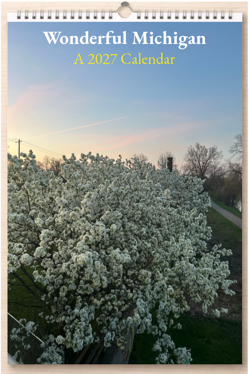 Wonderful Michigan: A 2027 Calendar