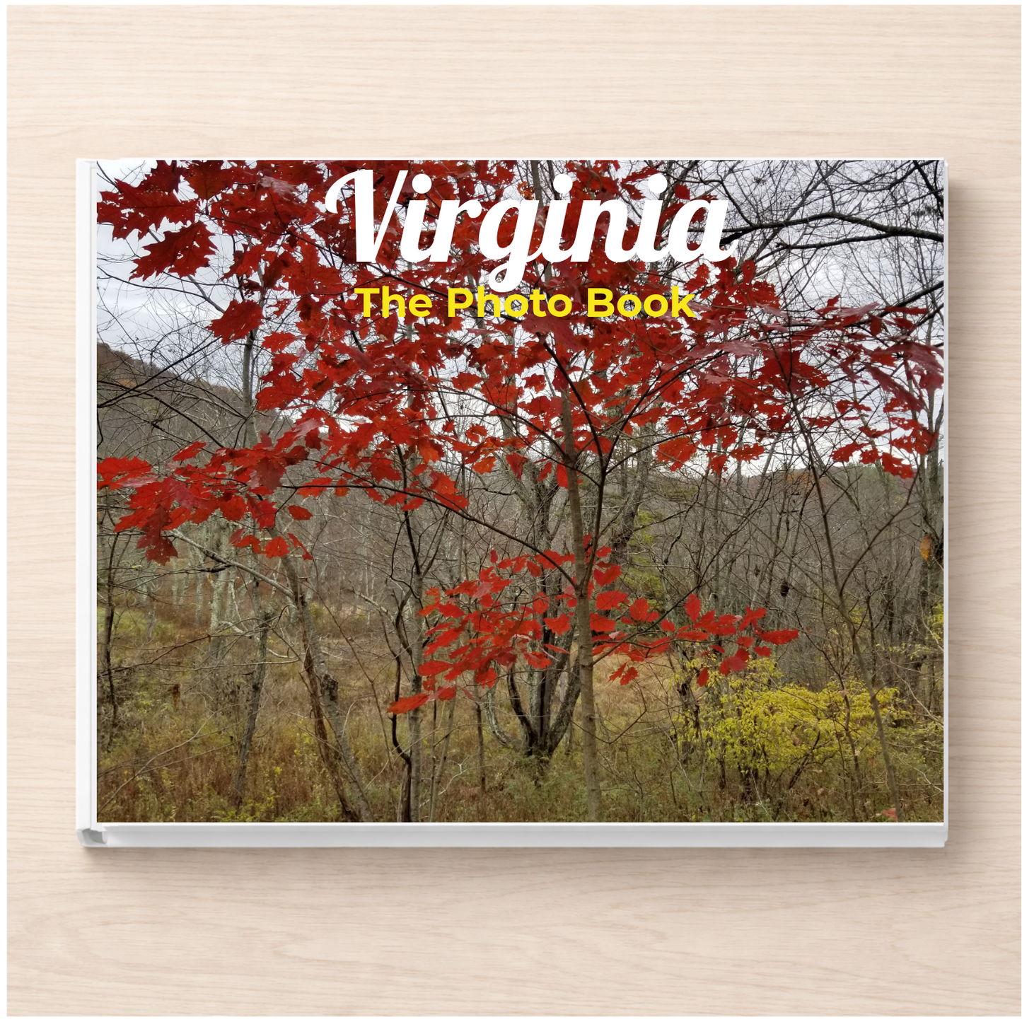 Virginia: The Photo Book