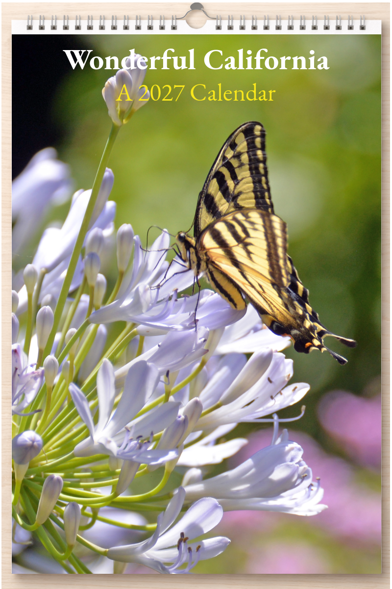 Wonderful California: A 2027 Calendar