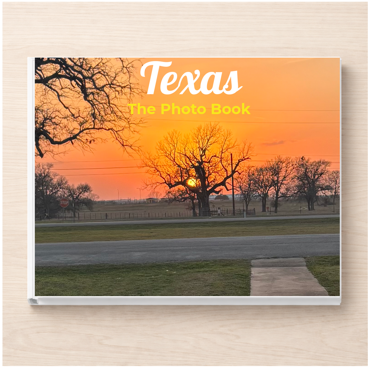 Texas: The Photo Book