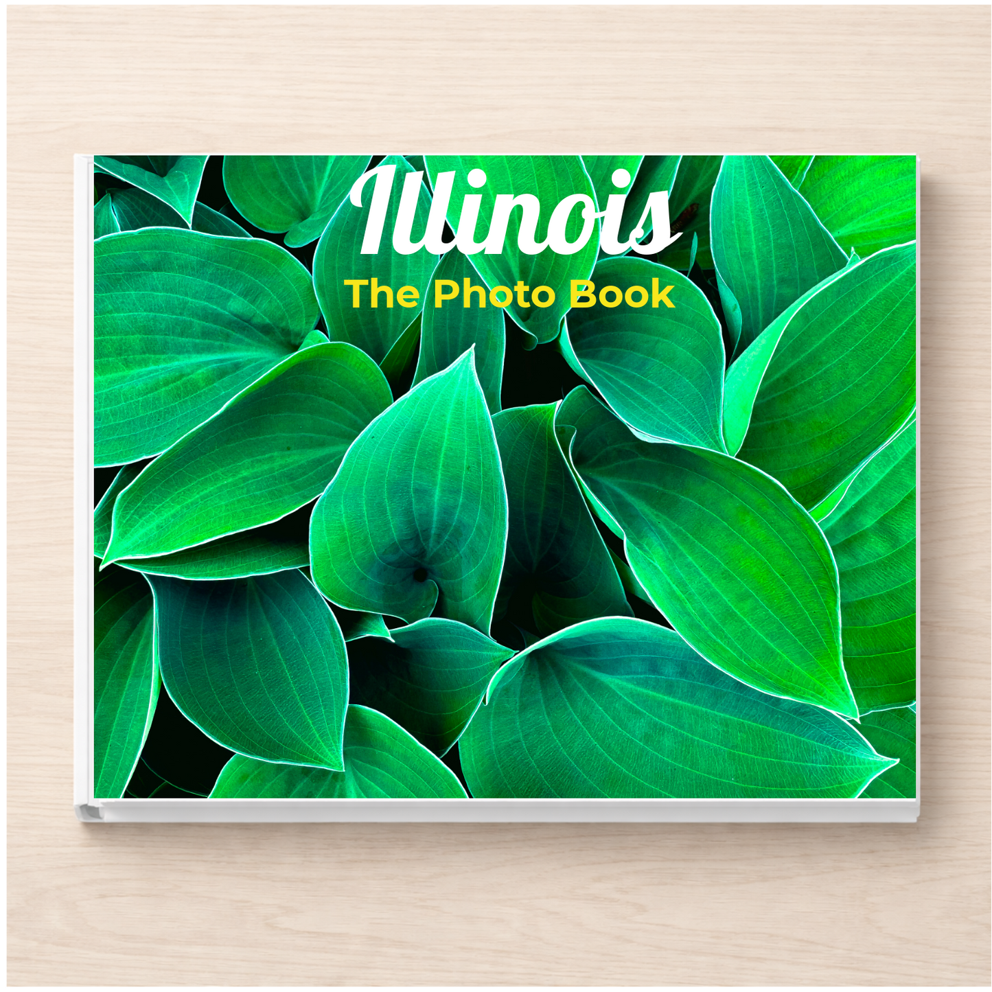 Illinois: The Photo Book