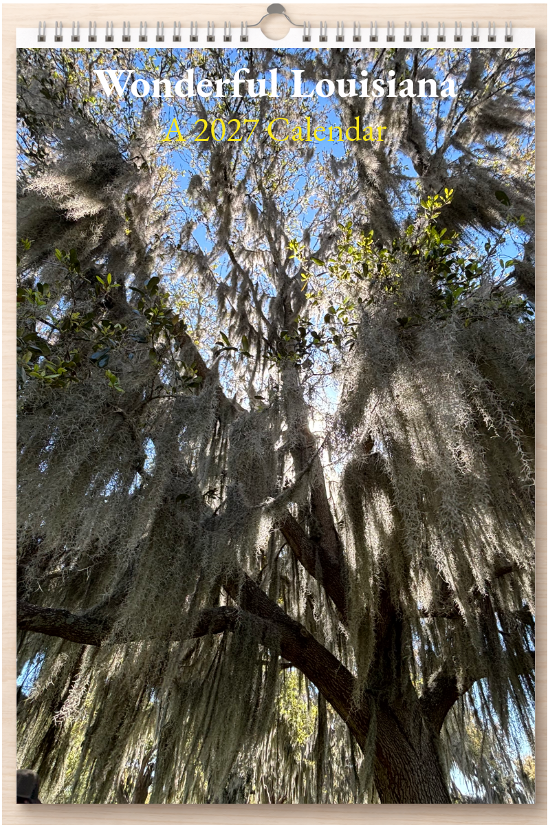 Wonderful Louisiana: A 2027 Calendar
