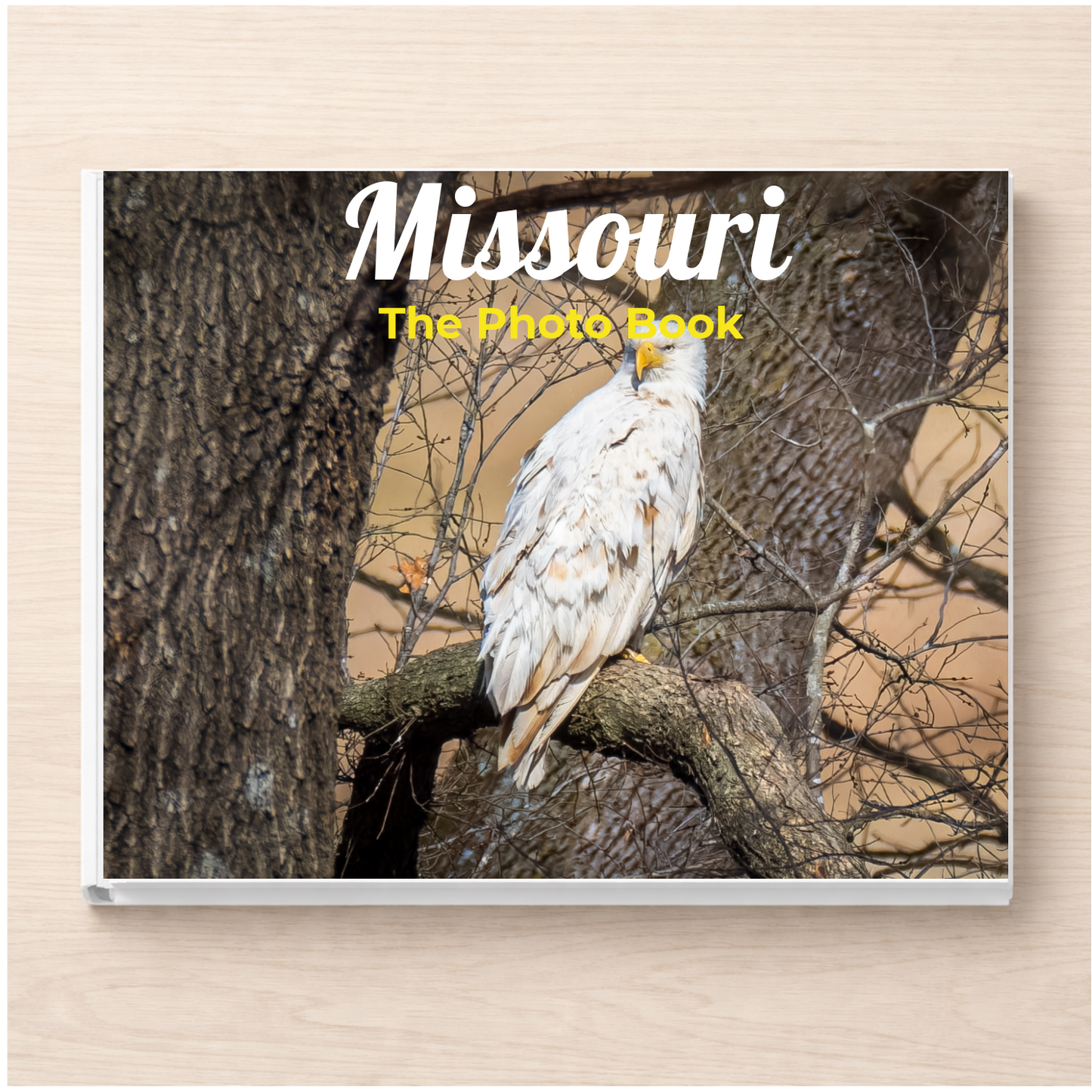 Missouri: The Photo Book