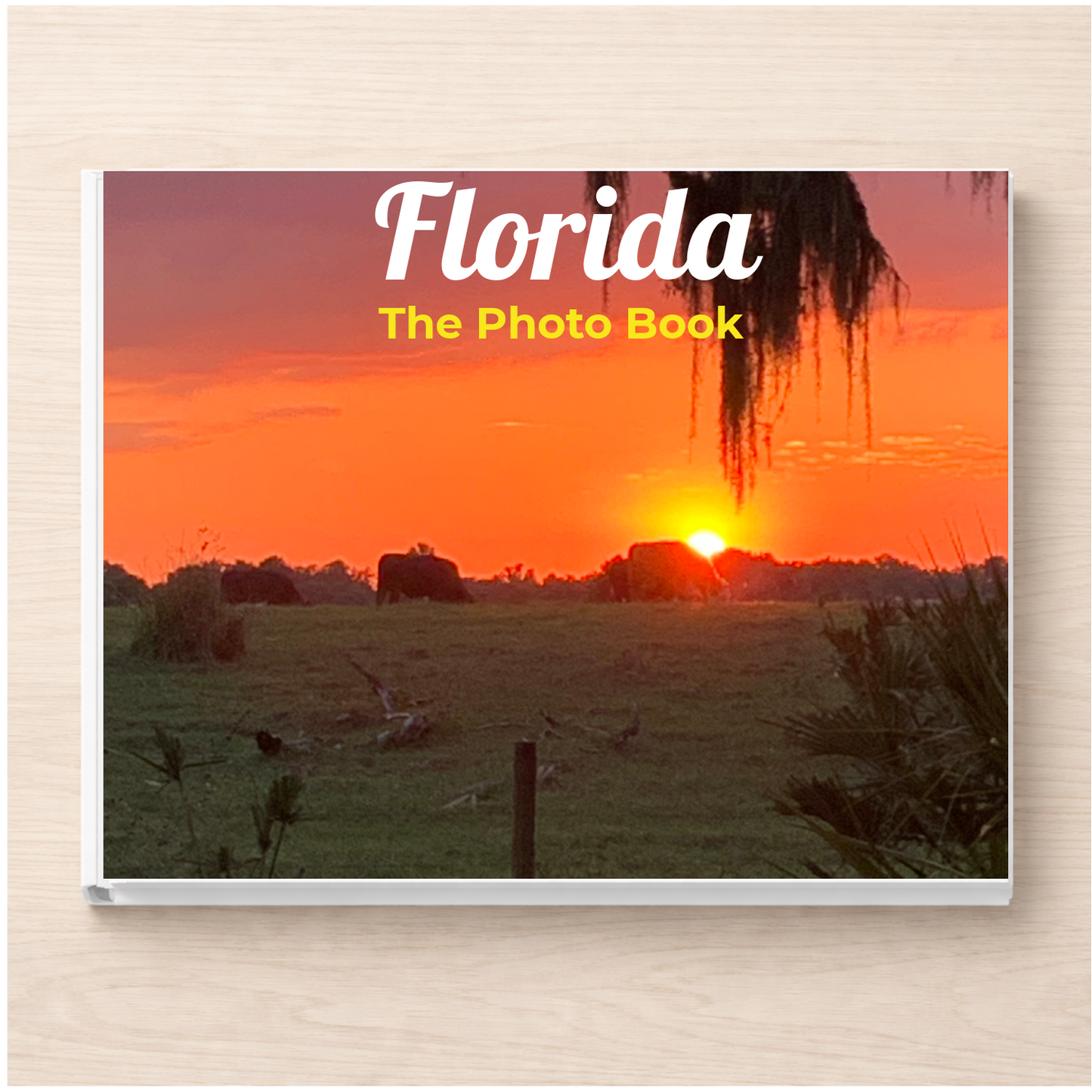 Florida: The Photo Book