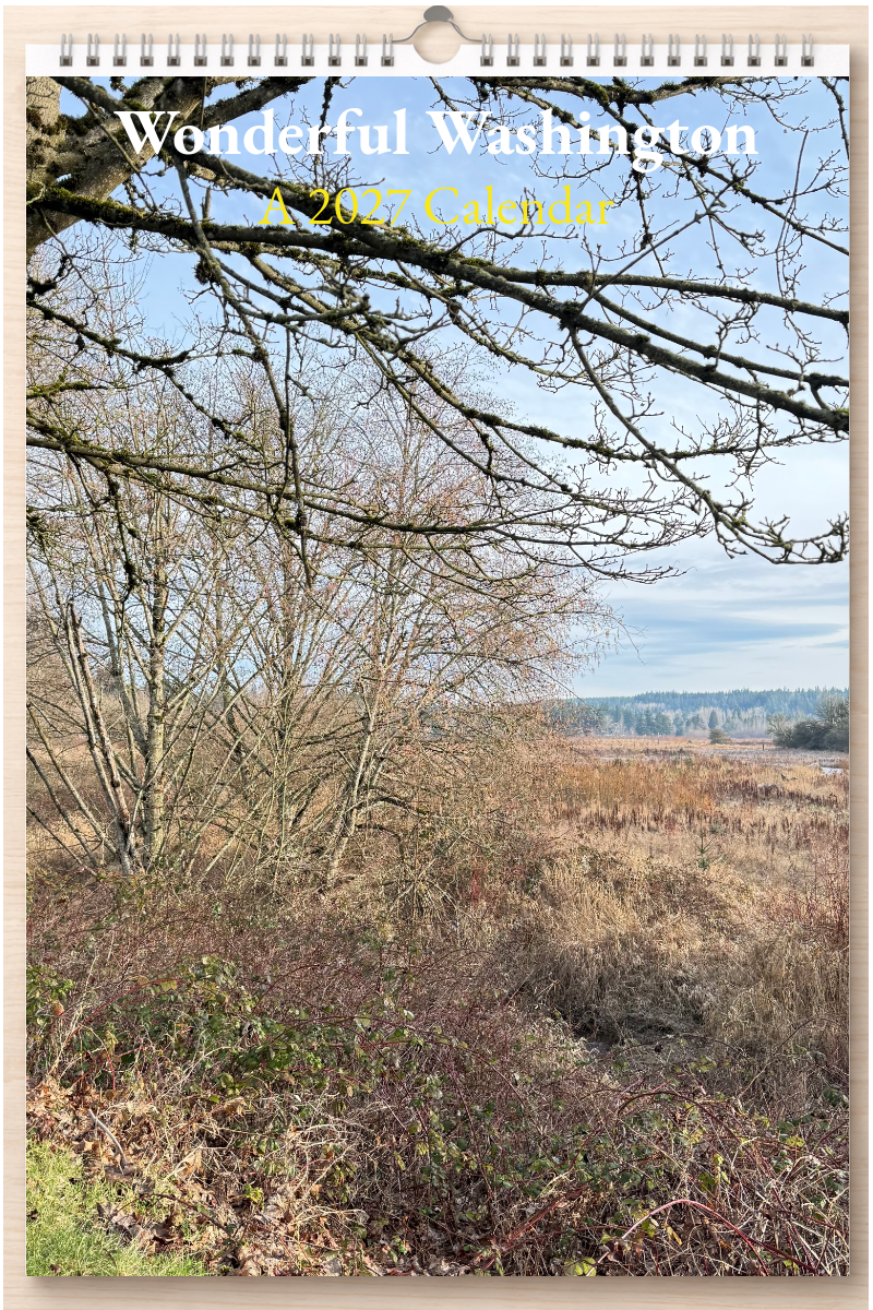 Wonderful Washington: A 2027 Calendar