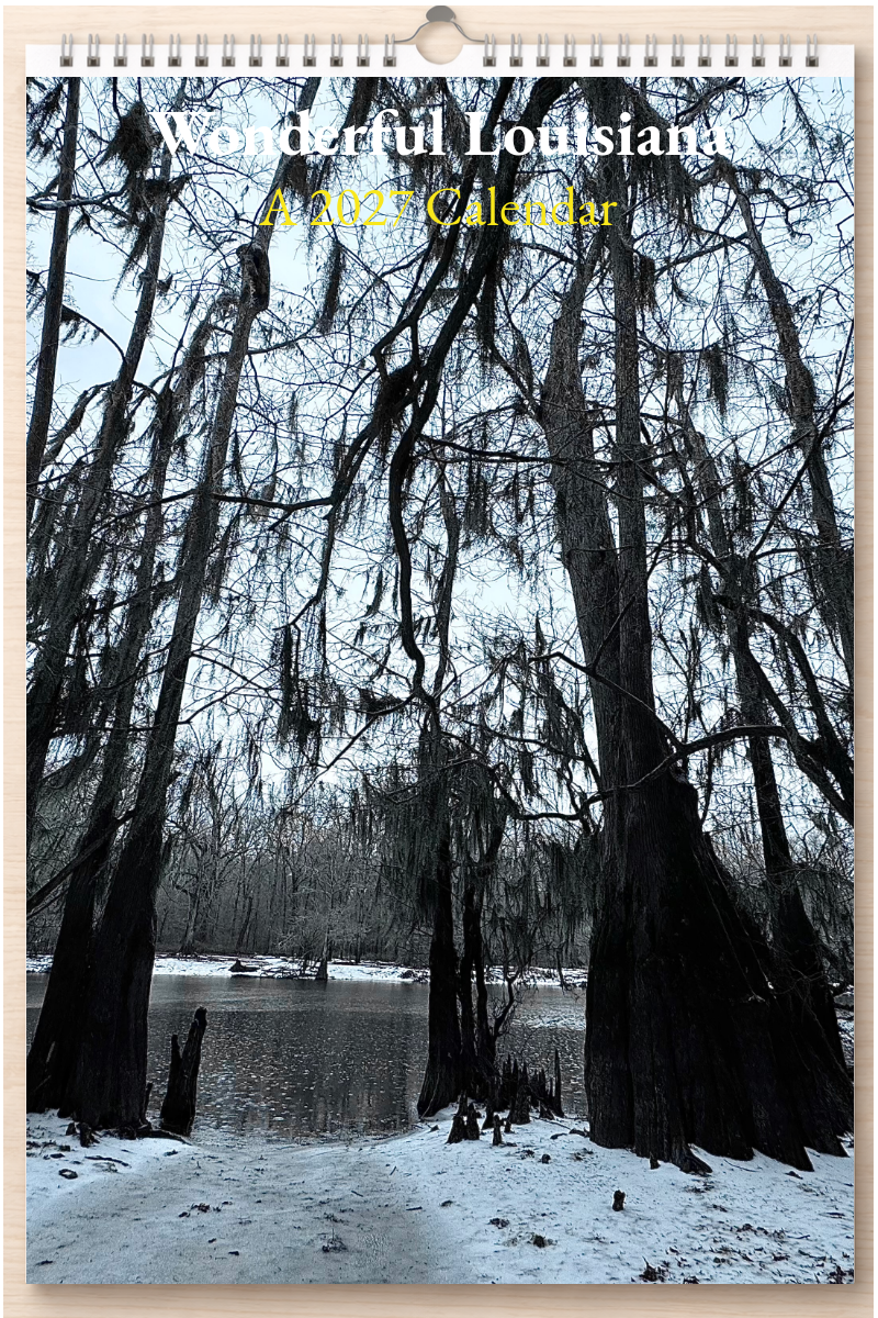 Wonderful Louisiana: A 2027 Calendar