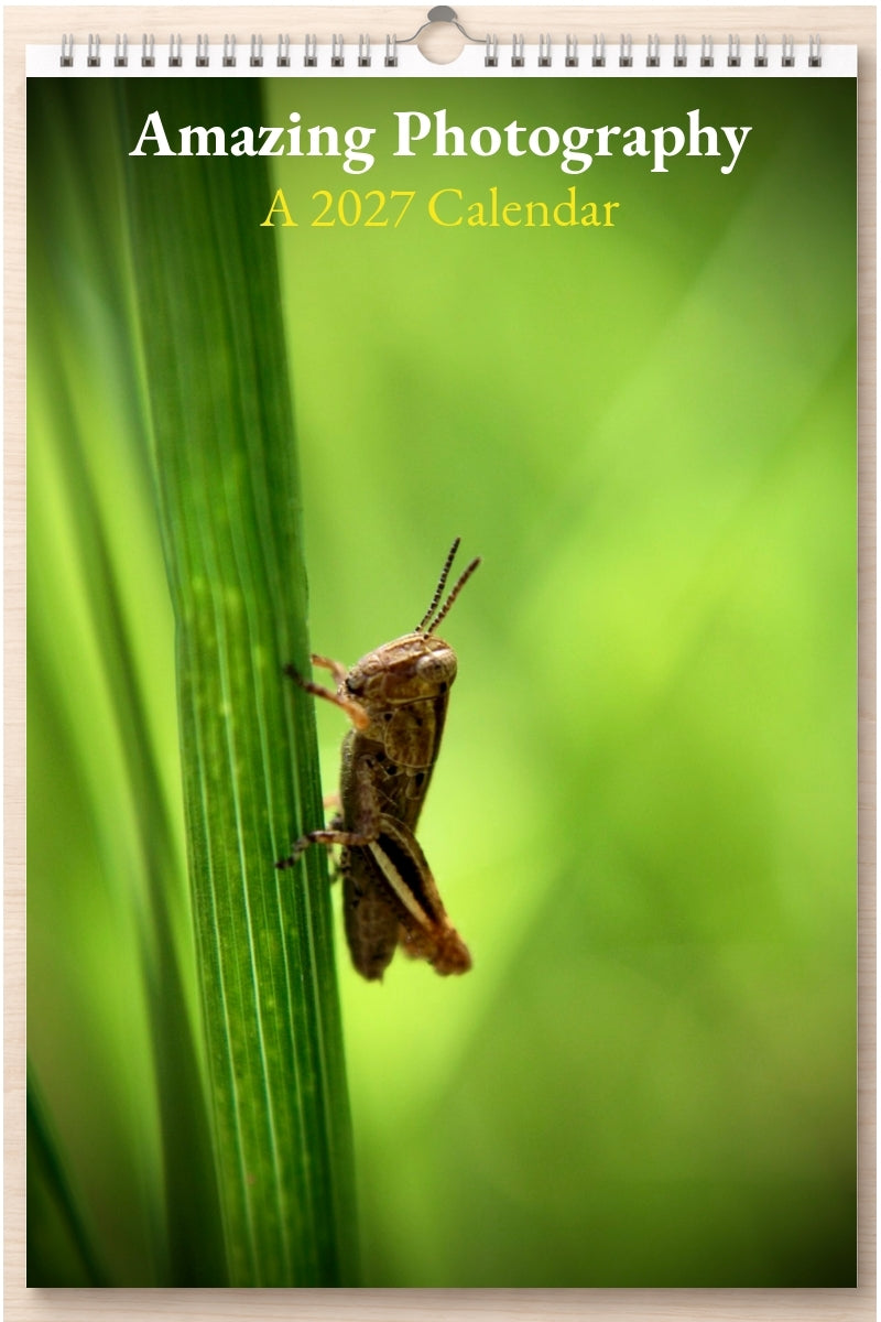 Amazing Photography: A 2027 Calendar