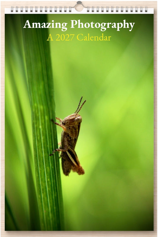 Amazing Photography: A 2027 Calendar