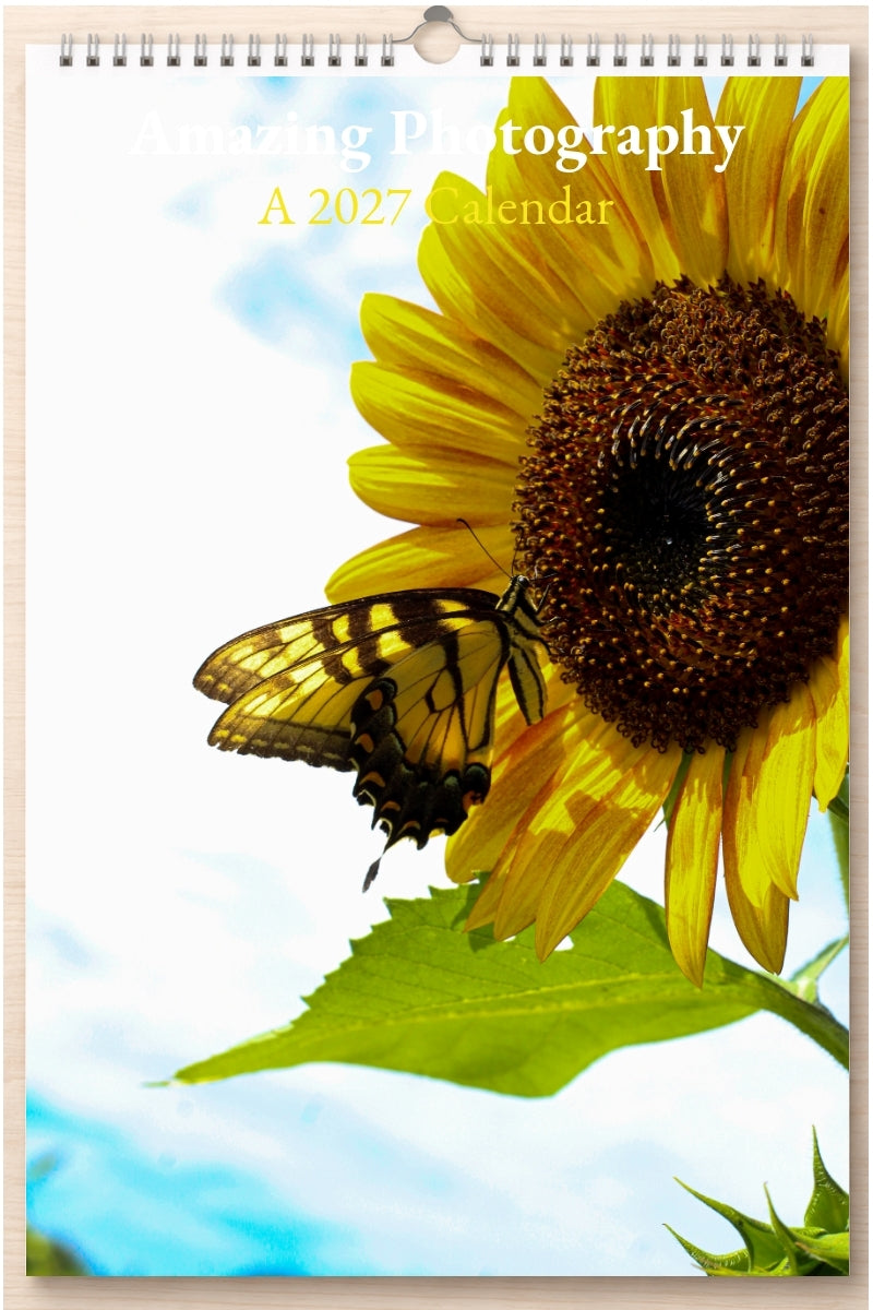Amazing Photography: A 2027 Calendar