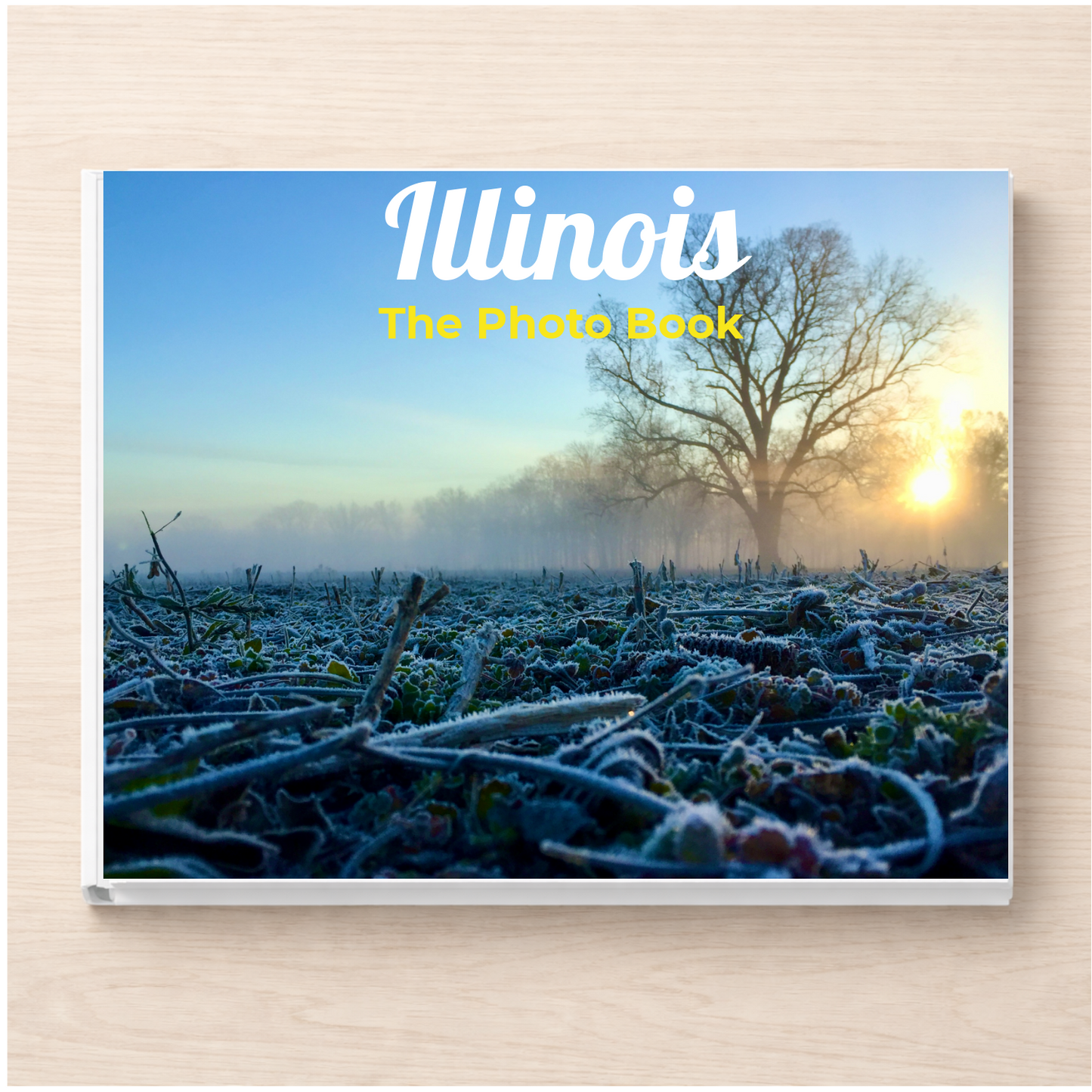 Illinois: The Photo Book