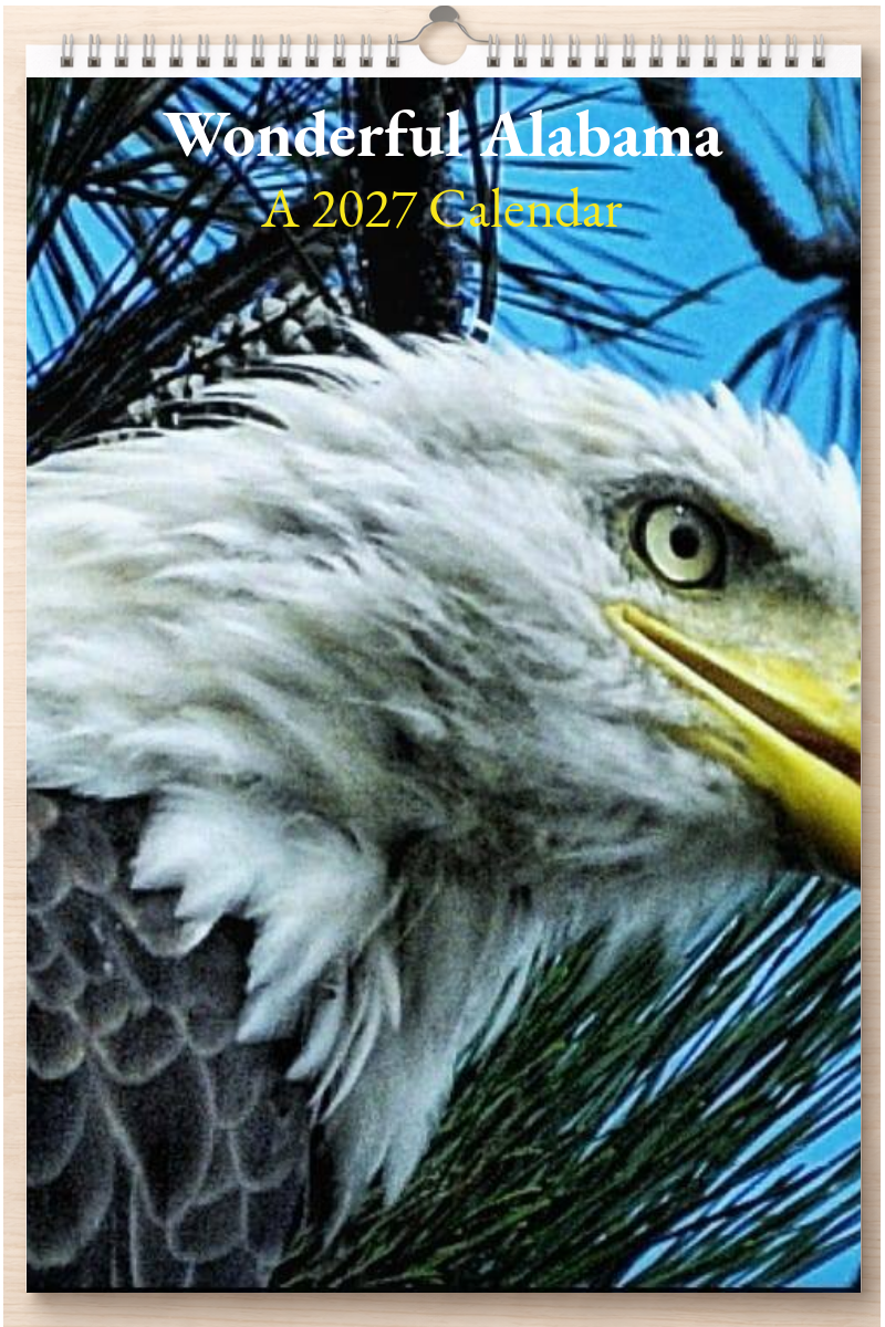 Wonderful Alabama: A 2027 Calendar