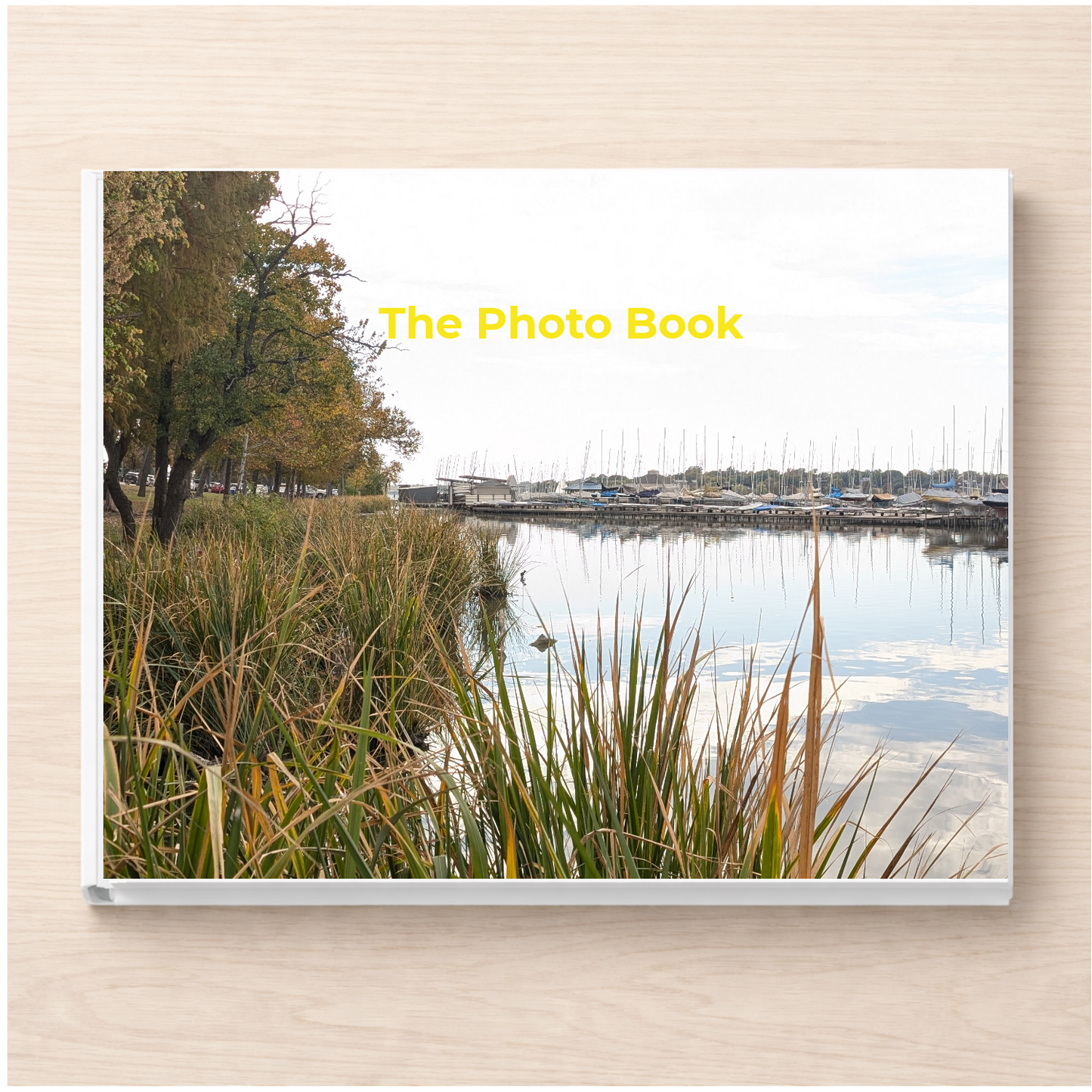 Texas: The Photo Book