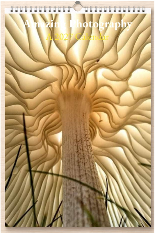 Amazing Photography: A 2027 Calendar