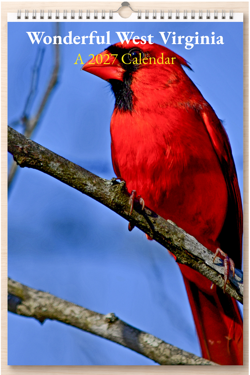 Wonderful West Virginia: A 2027 Calendar