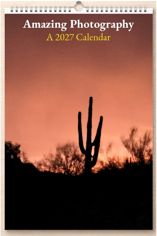 Amazing Photography: A 2027 Calendar
