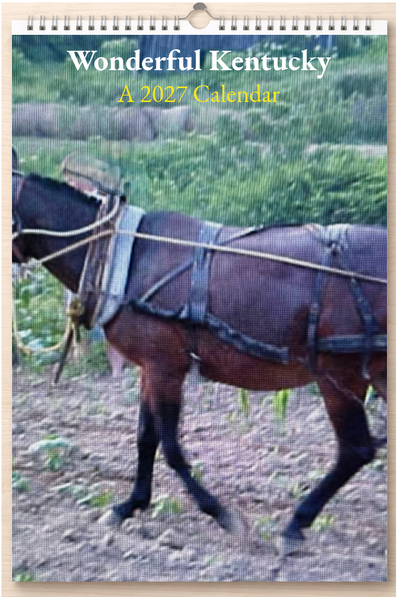 Wonderful Kentucky: A 2027 Calendar