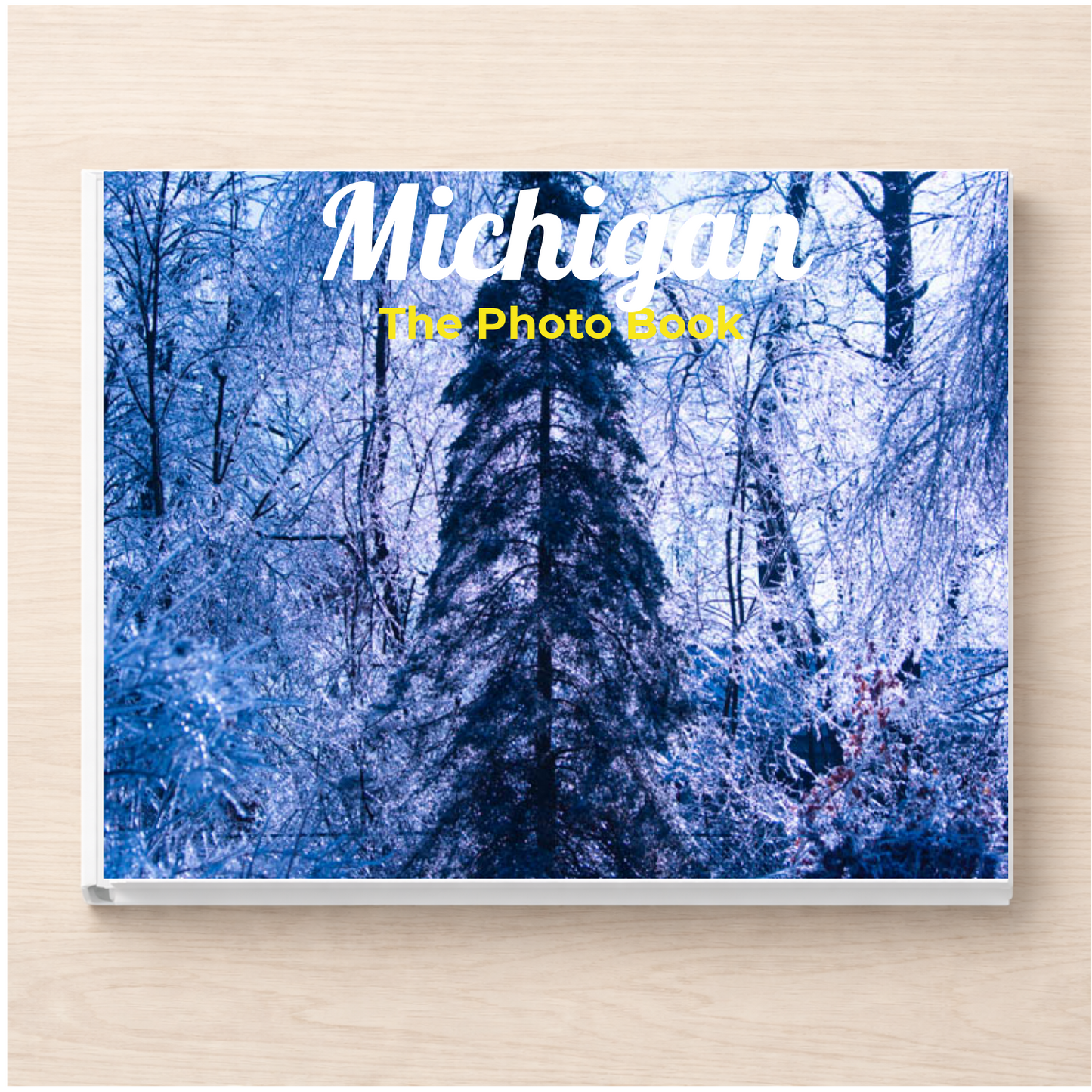 Michigan: The Photo Book