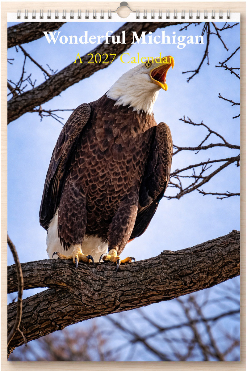 Wonderful Michigan: A 2027 Calendar