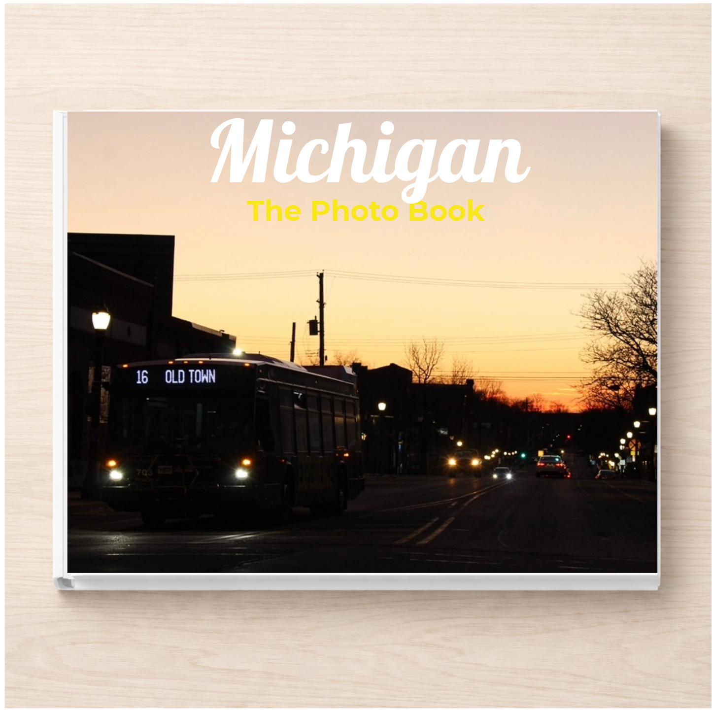 Michigan: The Photo Book
