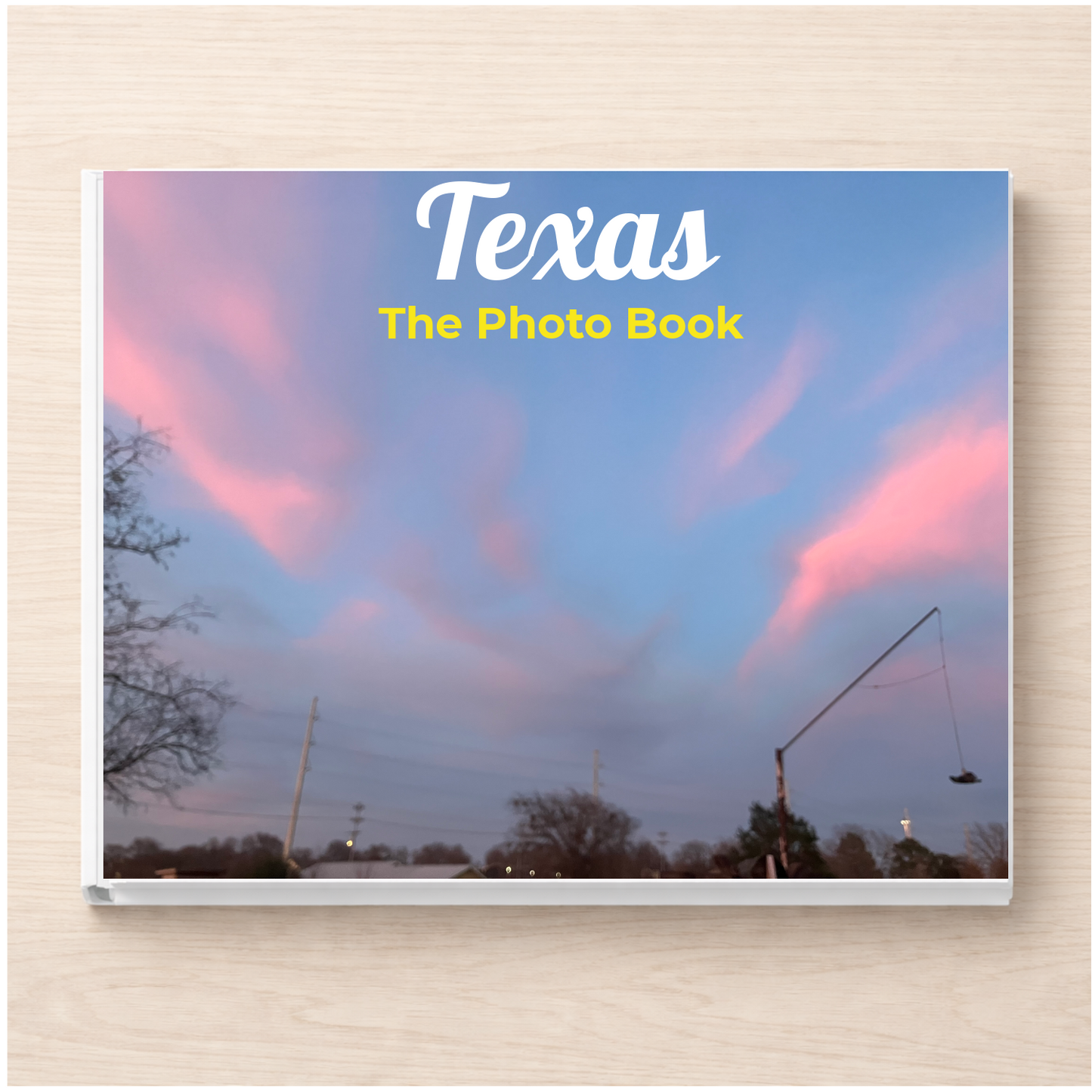 Texas: The Photo Book