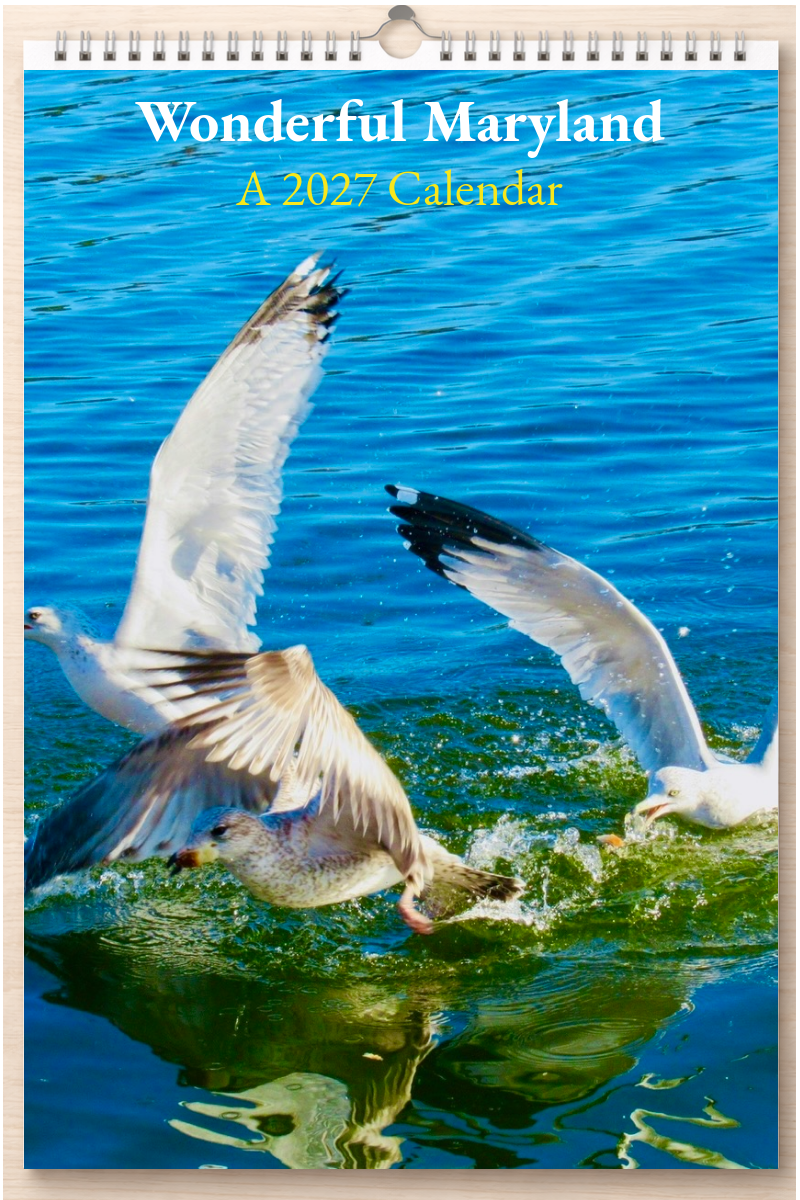 Wonderful Maryland: A 2027 Calendar