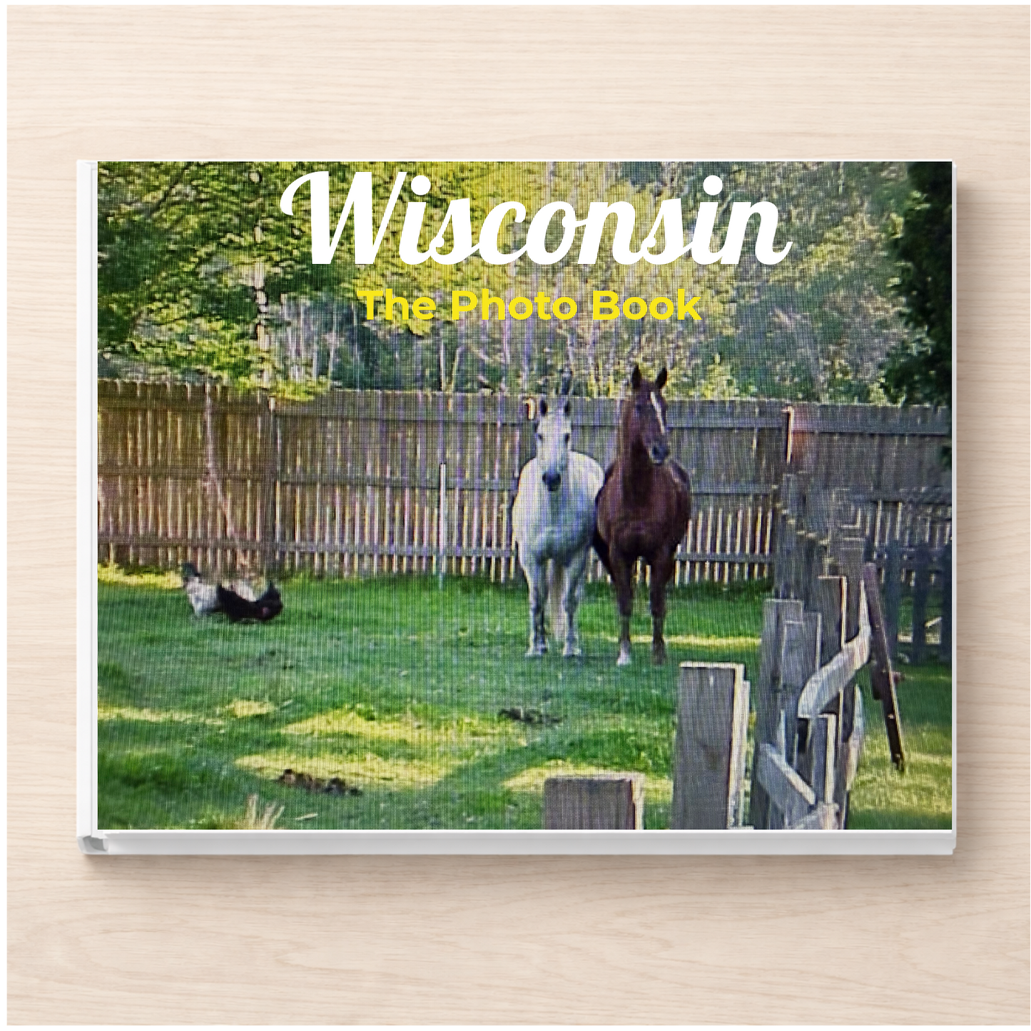 Wisconsin: The Photo Book