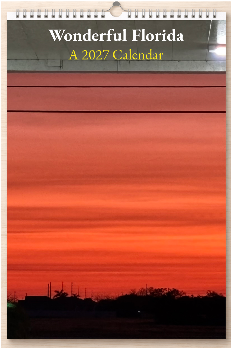 Wonderful Florida: A 2027 Calendar