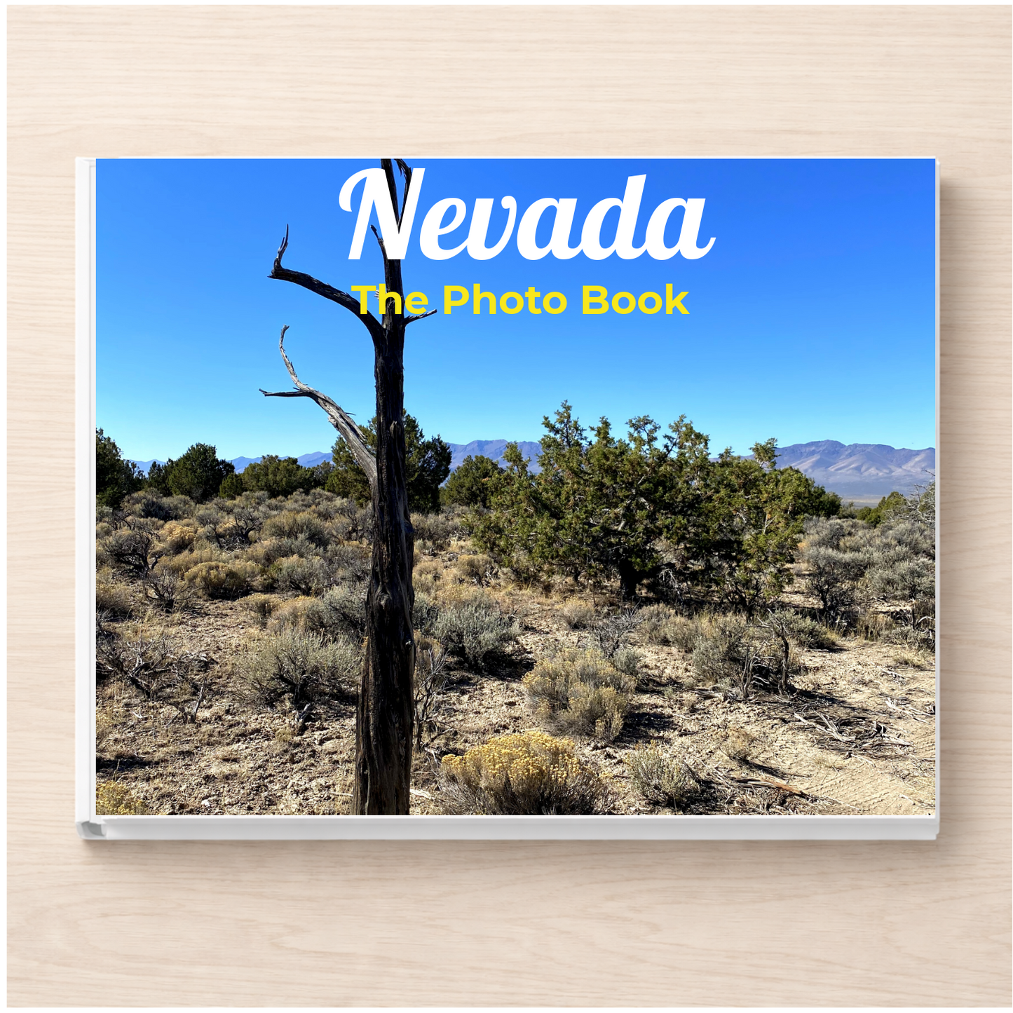 Nevada: The Photo Book