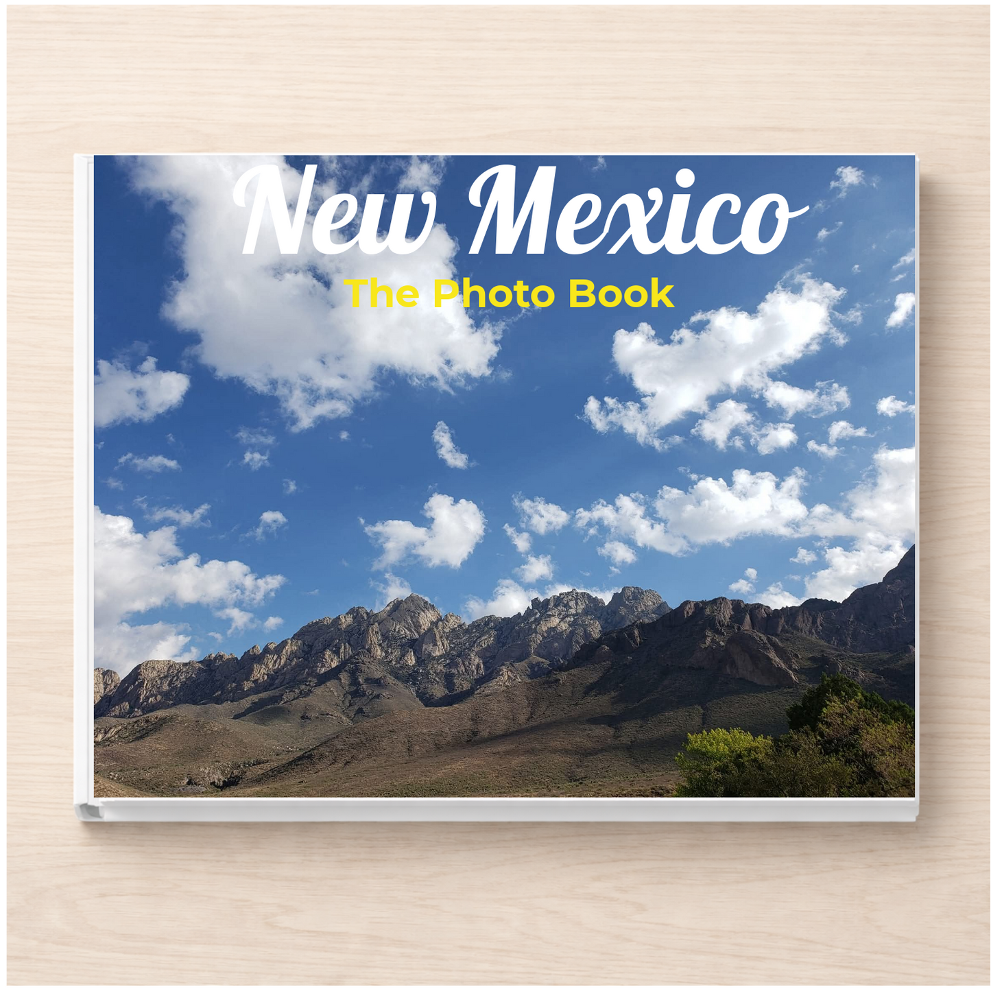 New Mexico: The Photo Book