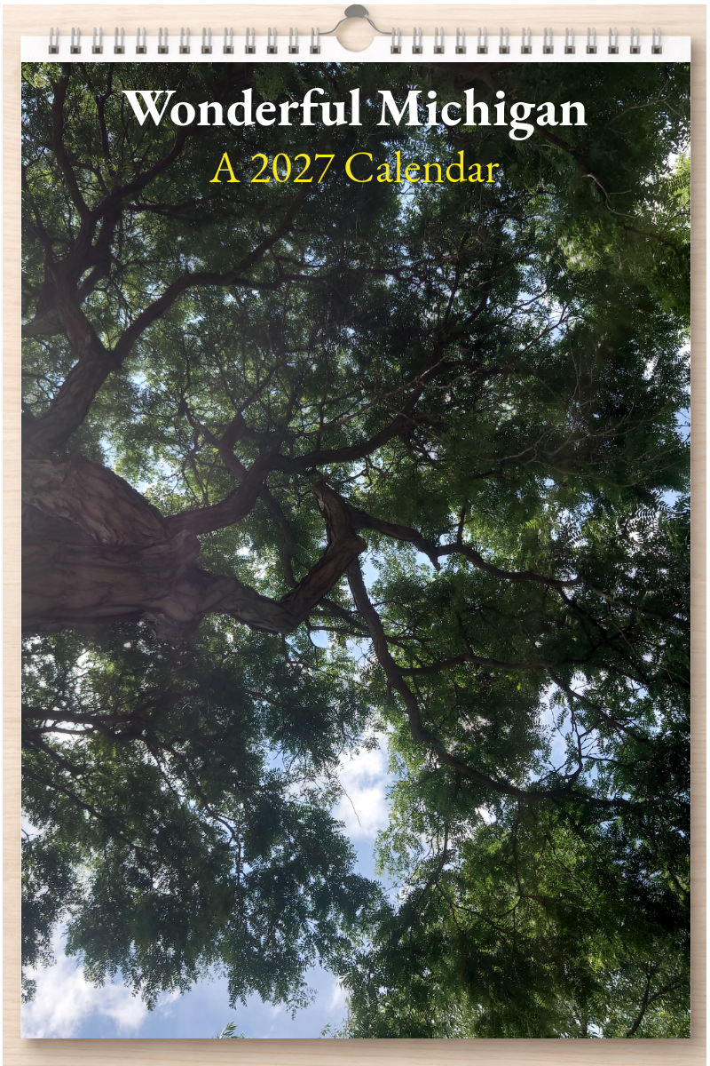 Wonderful Michigan: A 2027 Calendar