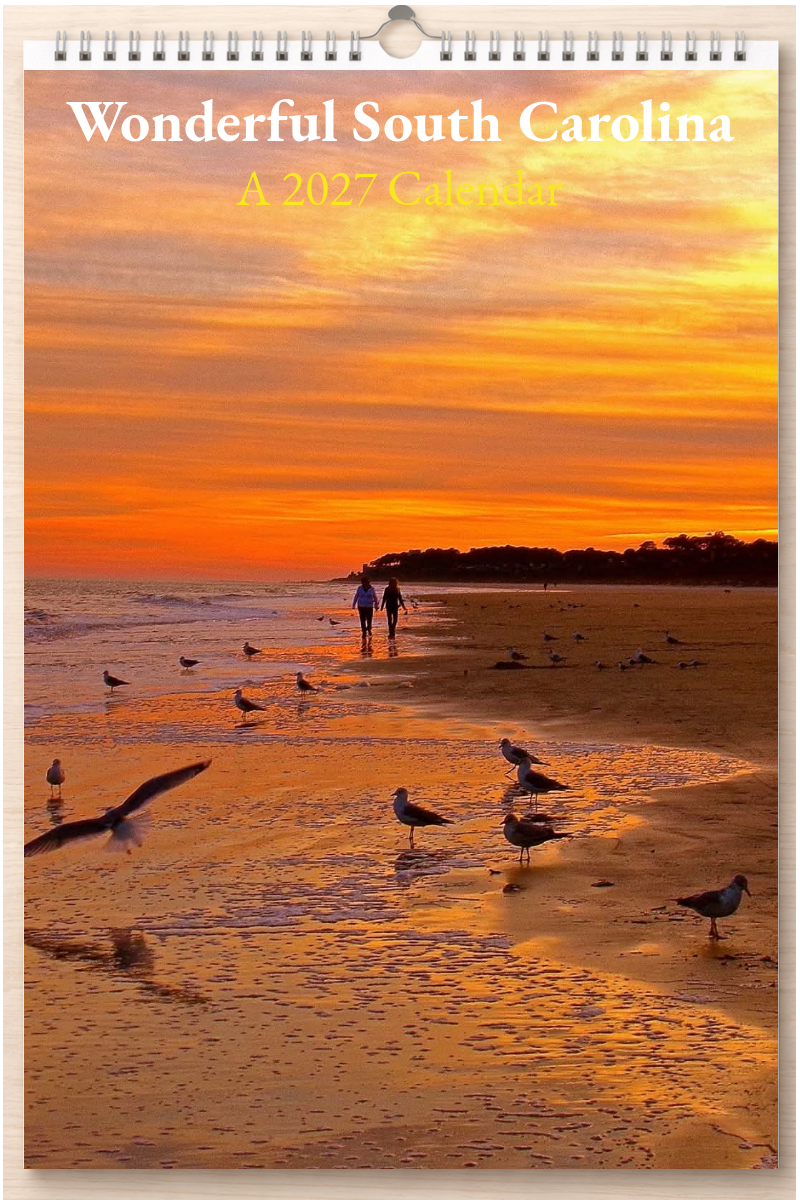 Wonderful South Carolina: A 2027 Calendar