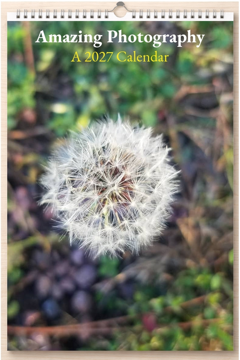 Amazing Photography: A 2027 Calendar